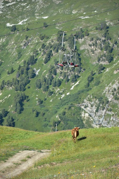 Alpage Du Jeu Aussois Maurienne Mercredi 21 Juillet 2021 3