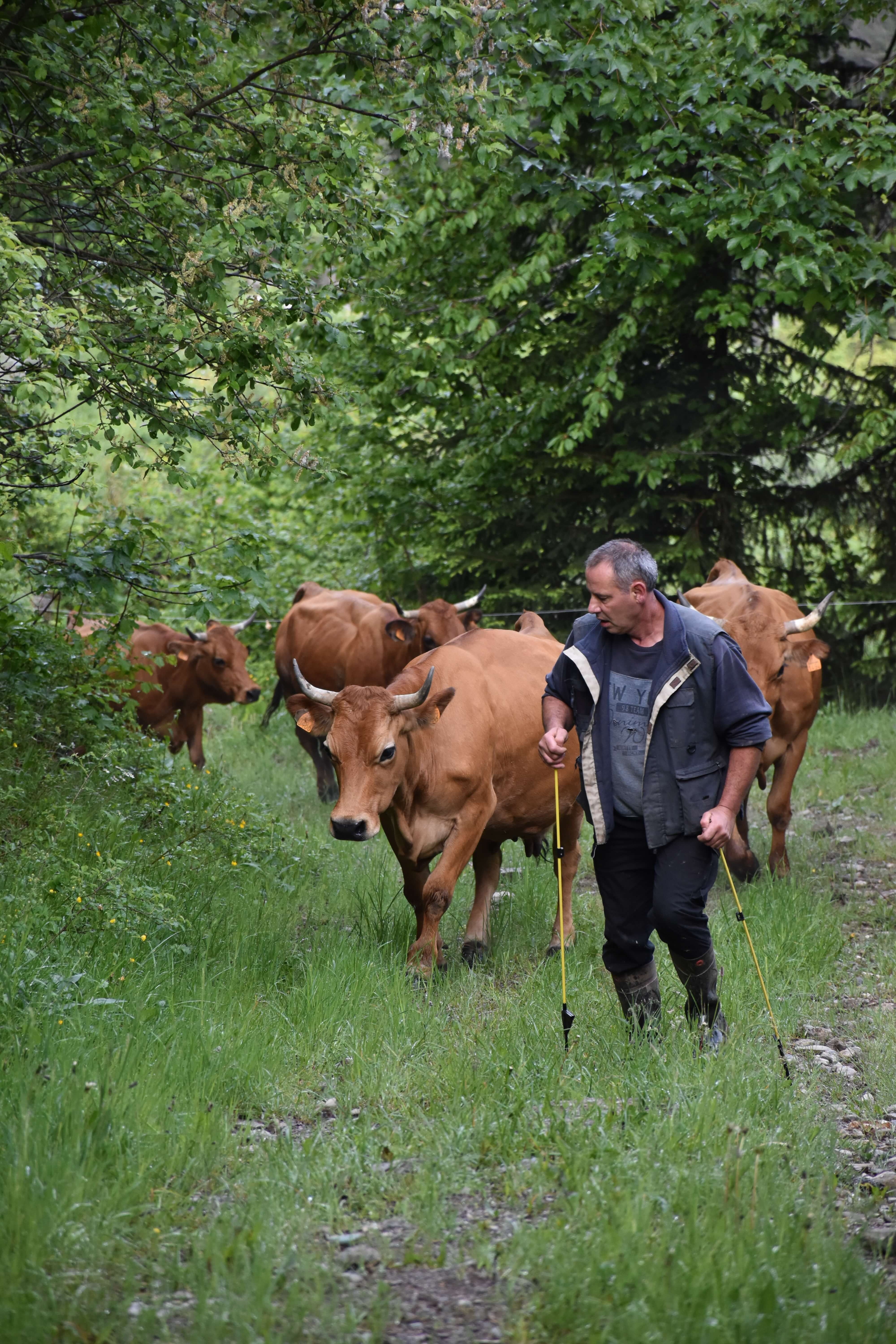 12 Emmontagnee Gp Naves Juin 2020