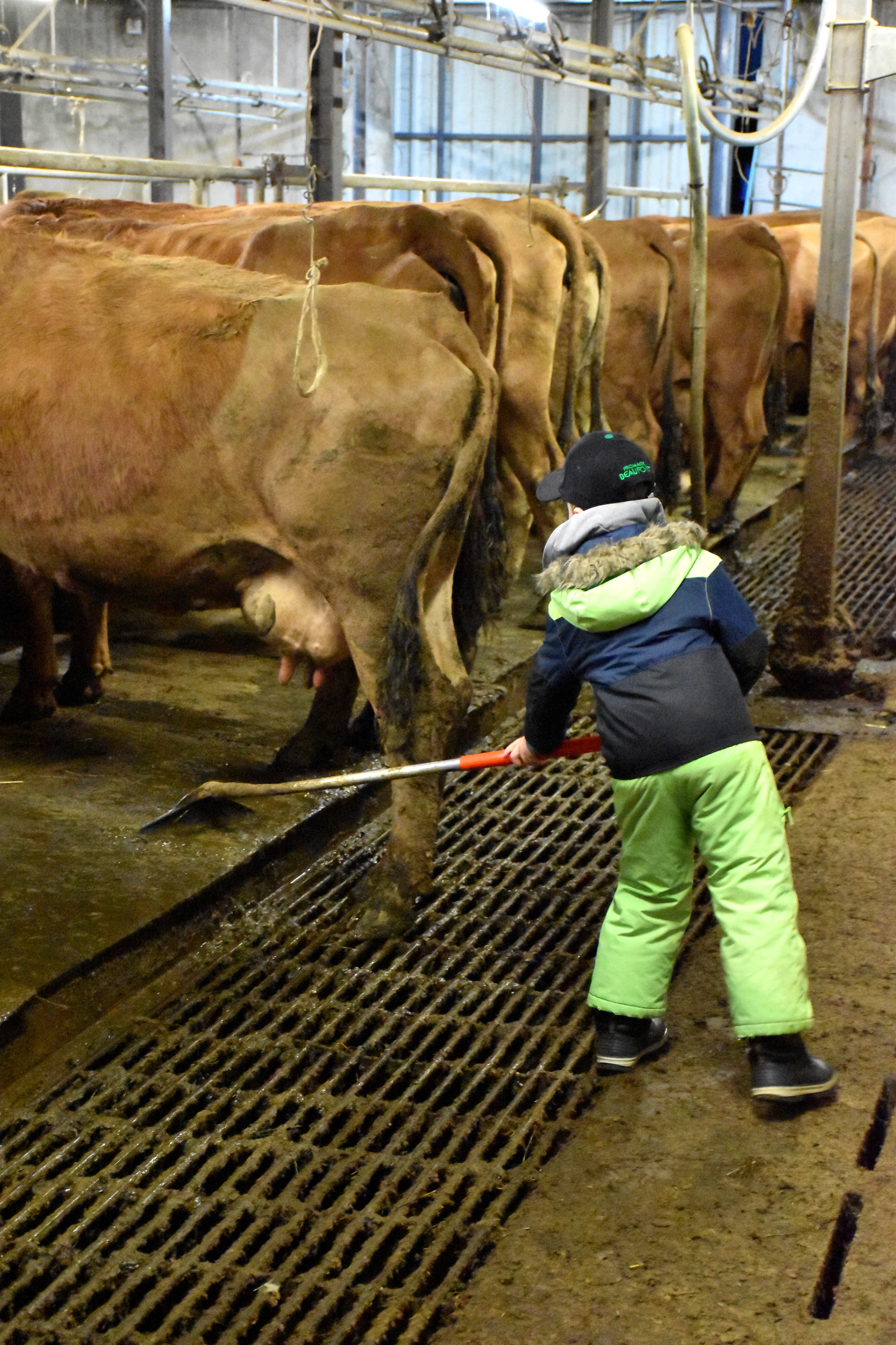 Enfants Gaec Des Tarines Bourg St Maurice 21 Janvier 2021 10