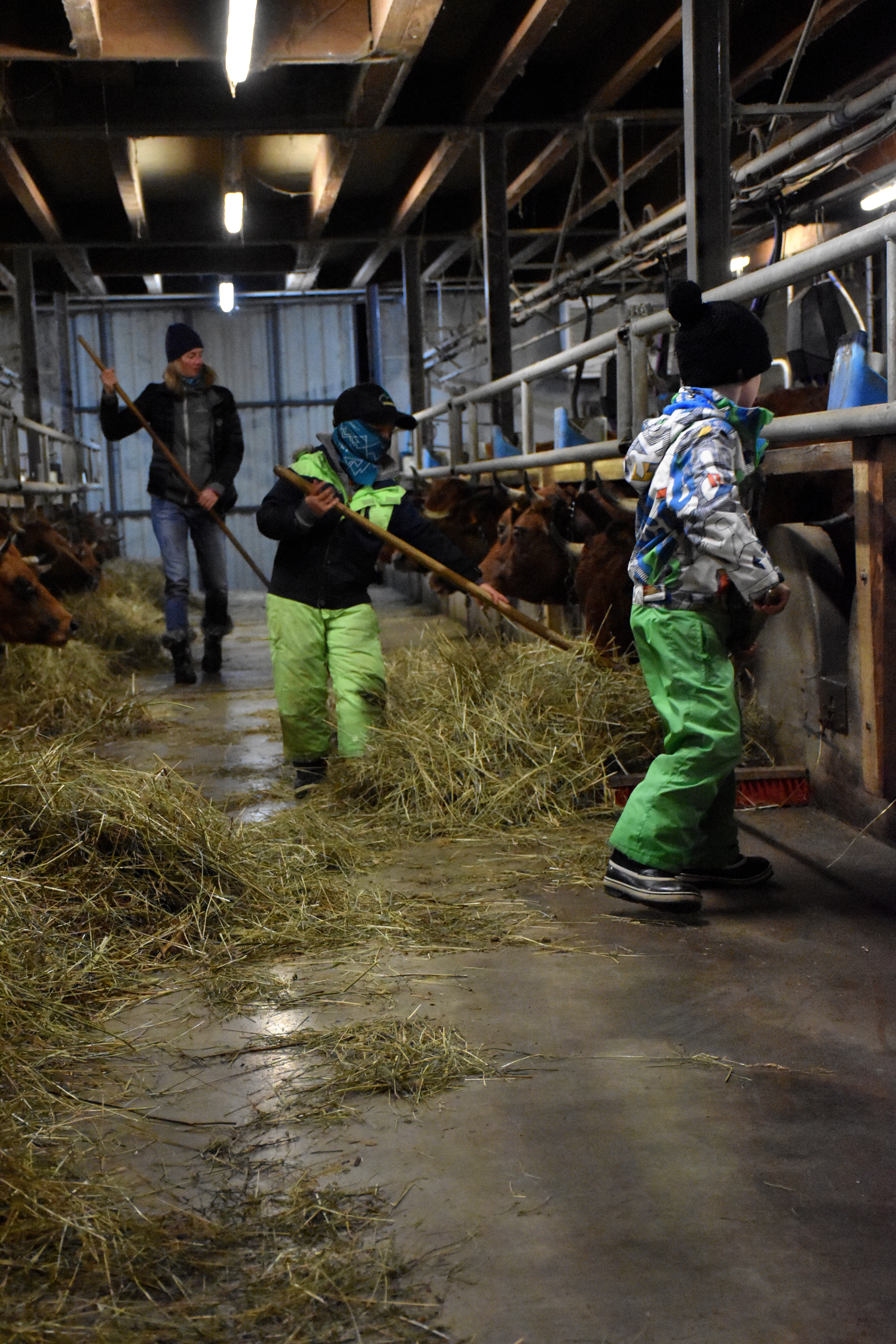 Enfants Gaec Des Tarines Bourg St Maurice 21 Janvier 2021 13