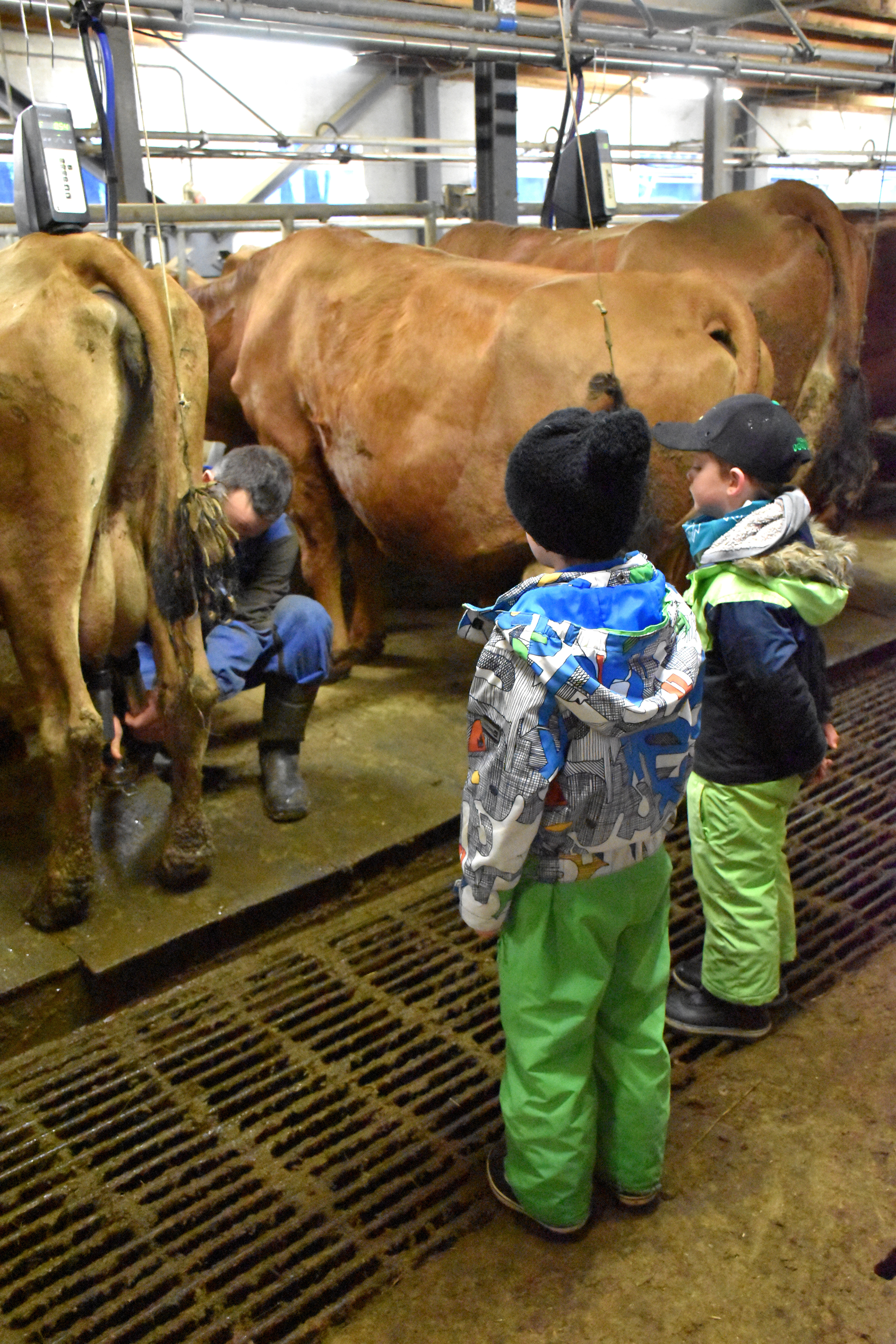 Enfants Gaec Des Tarines Bourg St Maurice 21 Janvier 2021 8