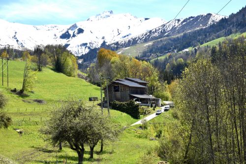 Gaec Les Pres Joly Les Avanchers Tarentaise 20 Mai 2021 4 Fromage AOP Beaufort Savoie