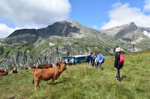 5 Alpage Du Jeu Aussois Maurienne 26072023 59