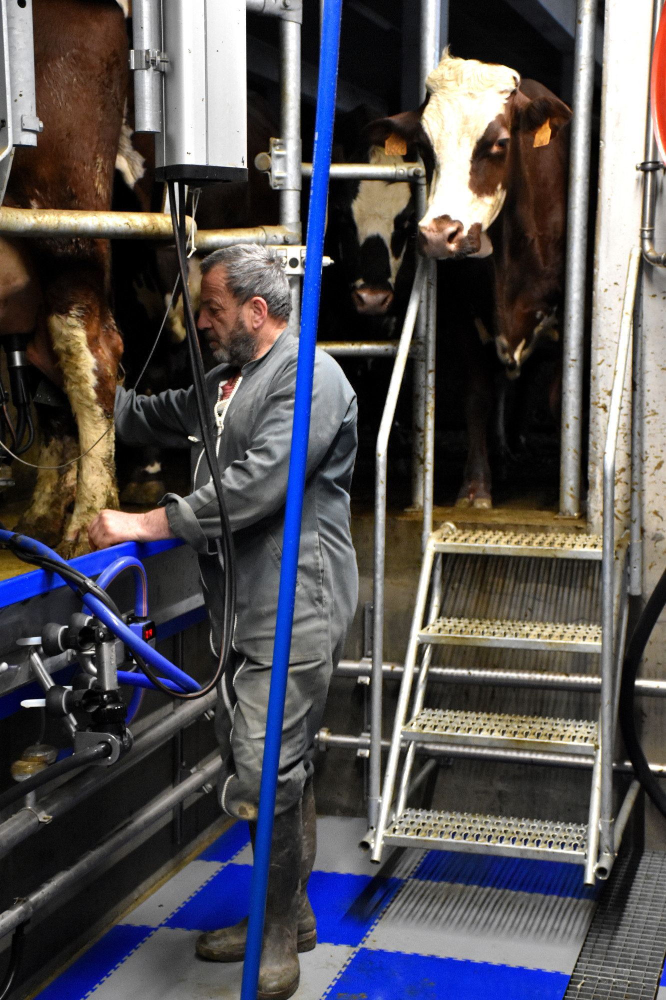 Jeune Installe Luc Chamiot Maitral 29032023 Fromage Beaufort Aop 20