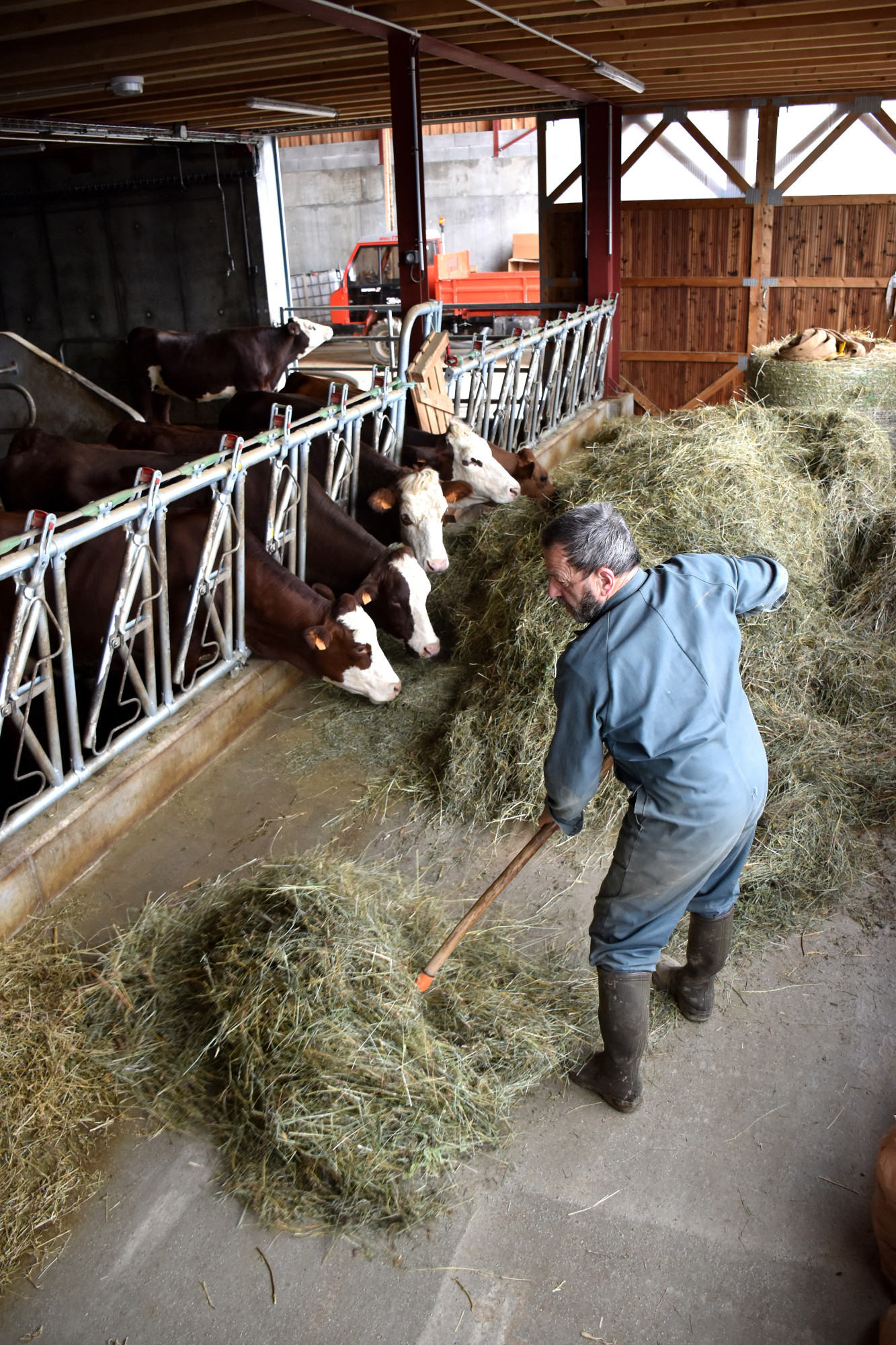 Jeune Installe Luc Chamiot Maitral 29032023 Fromage Beaufort Aop 3