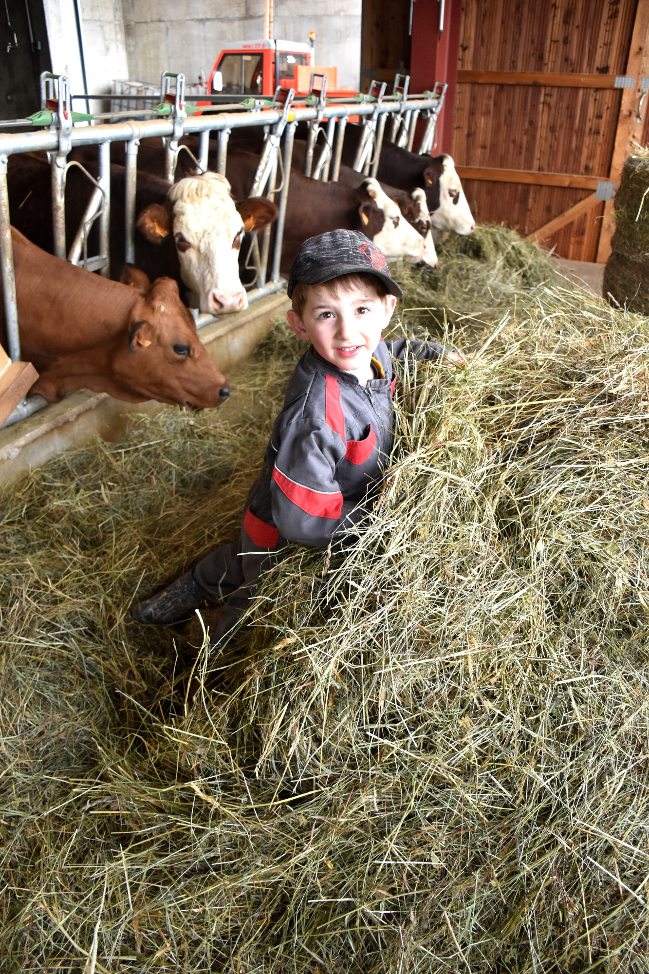 Jeune Installe Luc Chamiot Maitral 29032023 Fromage Beaufort Aop 6