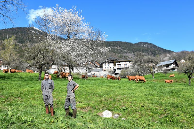 Sortie Des Vaches 18 Avril 2023 Florent Lorchel Pussy Fromage Beaufort Aop 8