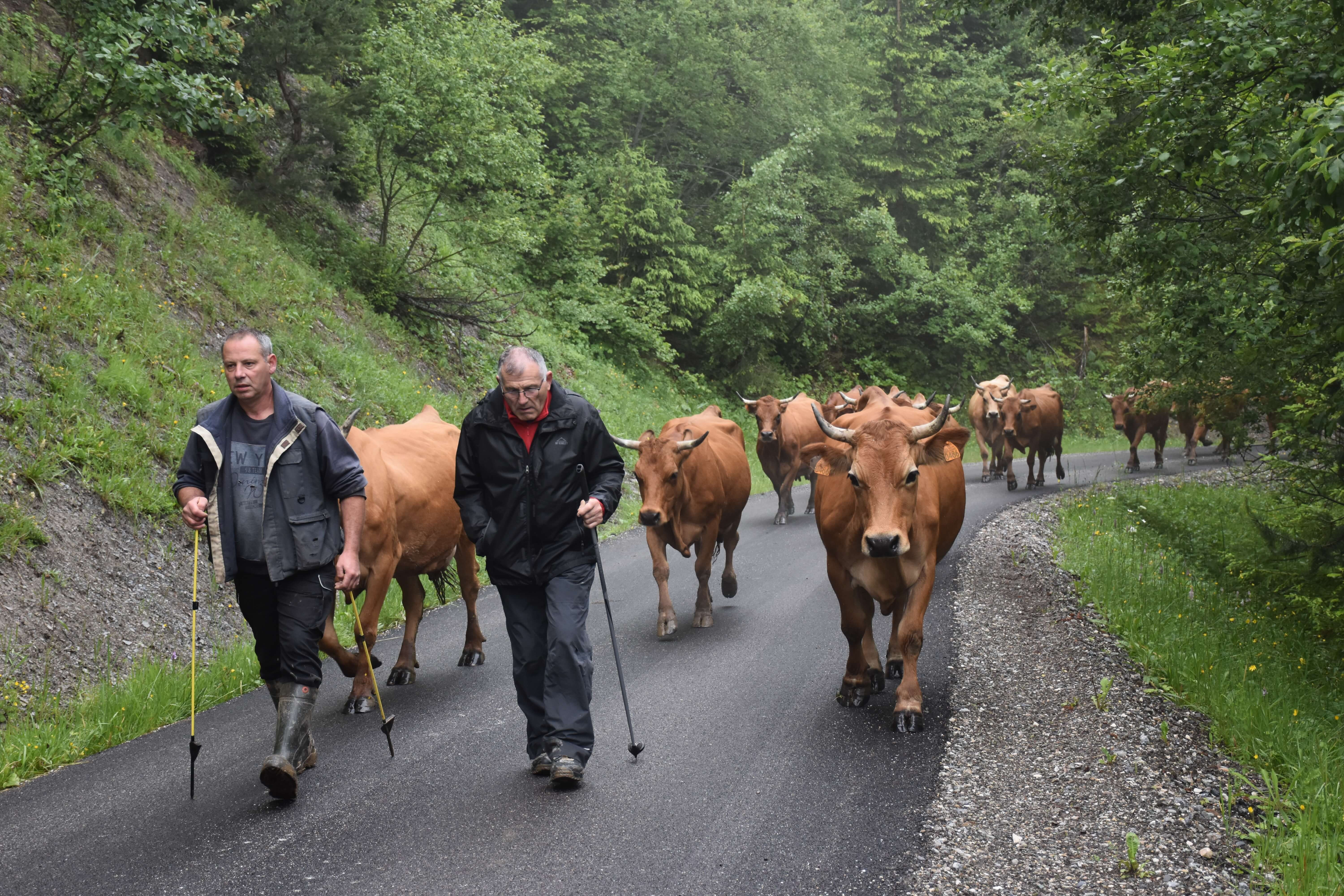 5 Emmontagnee Gp Naves Juin 2020