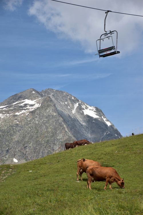 Alpage Du Jeu Aussois Maurienne Mercredi 21 Juillet 2021 14