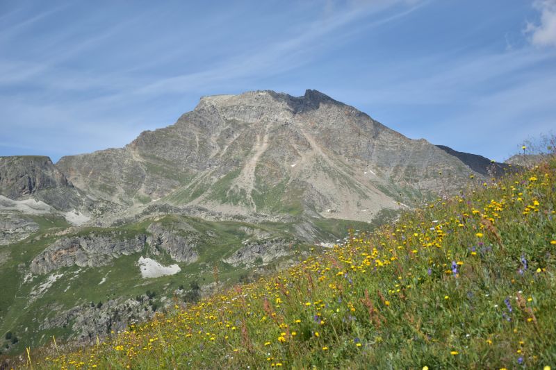 Alpage Du Jeu Aussois Maurienne Mercredi 21 Juillet 2021 7