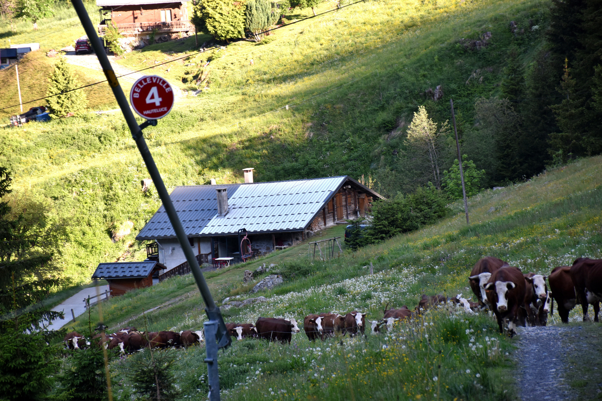 Emmontagnee Gaec Du Joly Hauteluce 26052022 Fromage Beaufort 12