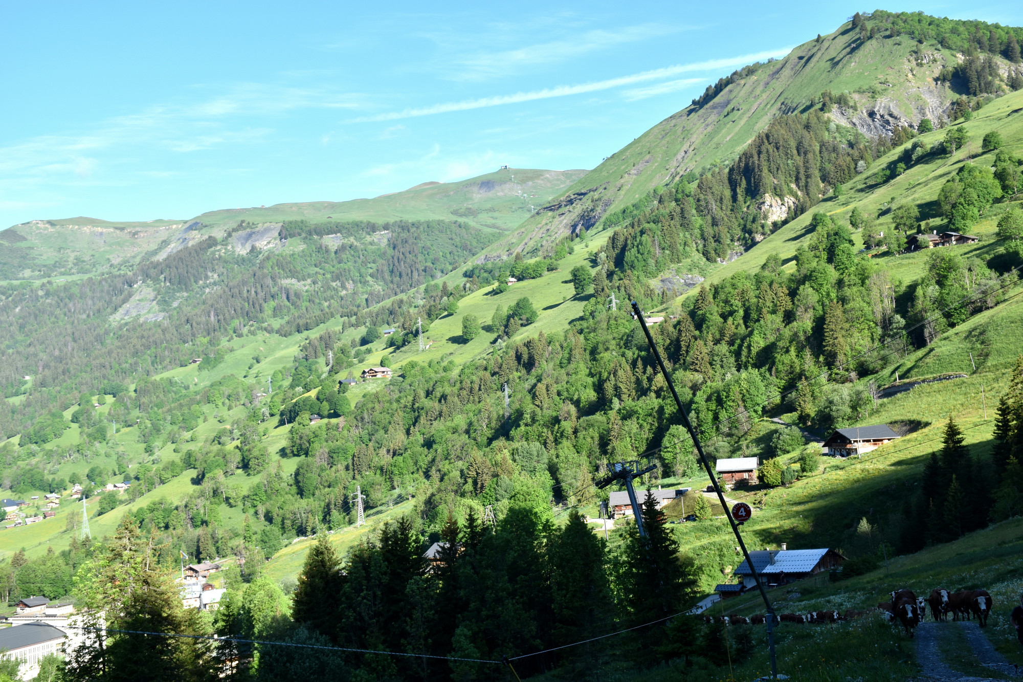 Emmontagnee Gaec Du Joly Hauteluce 26052022 Fromage Beaufort 13