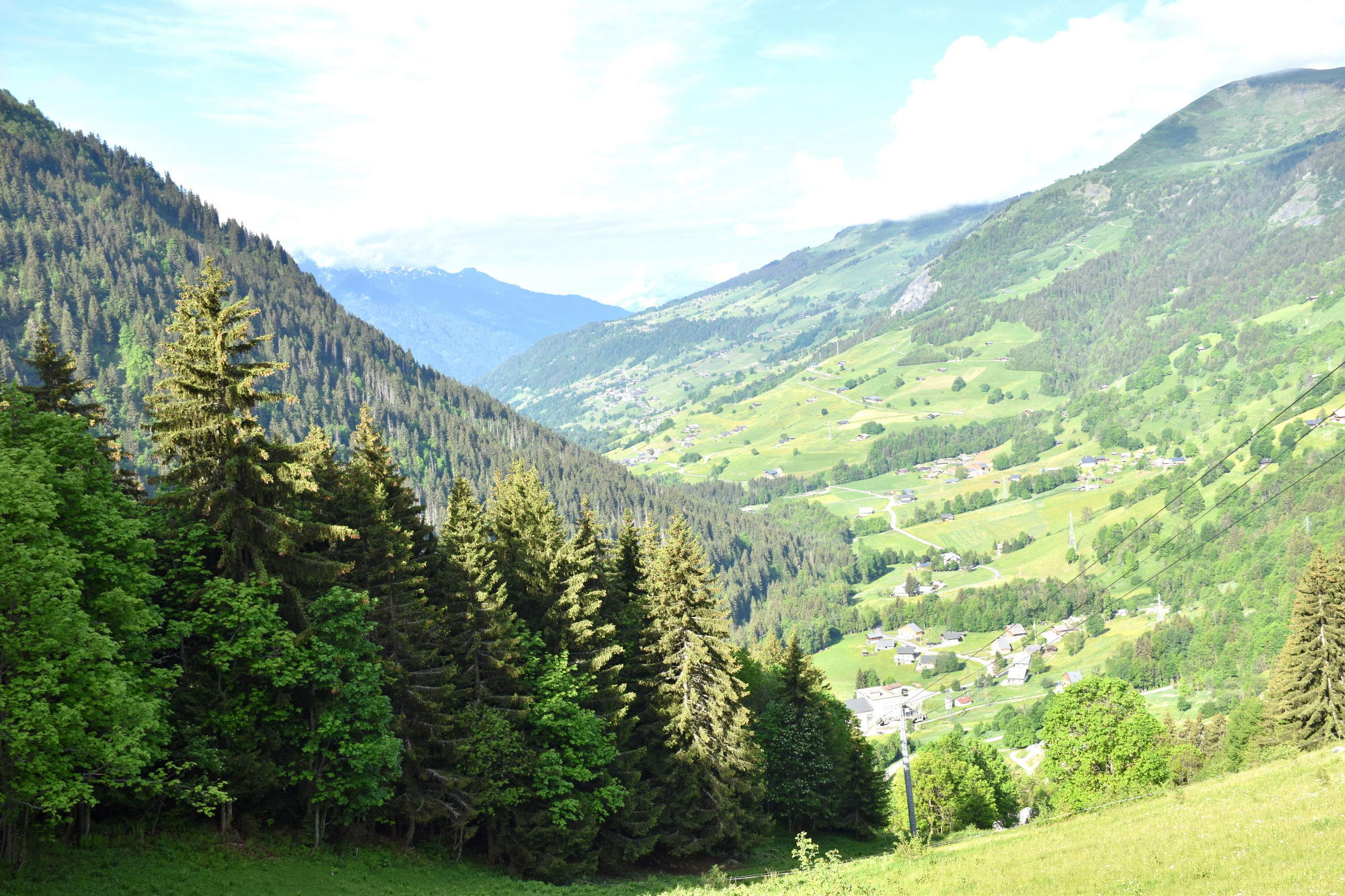 Emmontagnee Gaec Du Joly Hauteluce 26052022 Fromage Beaufort 18