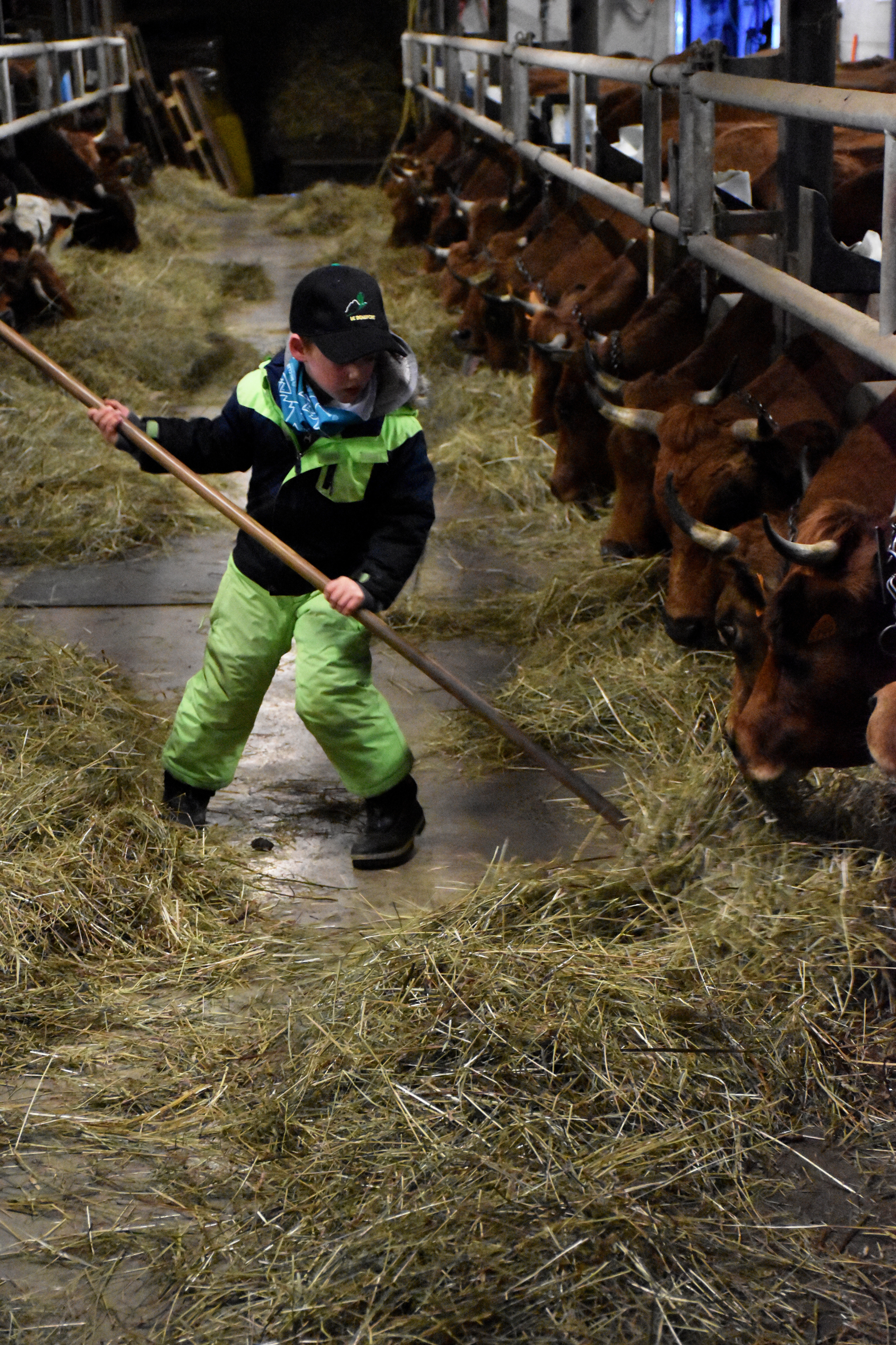 Enfants Gaec Des Tarines Bourg St Maurice 21 Janvier 2021 3