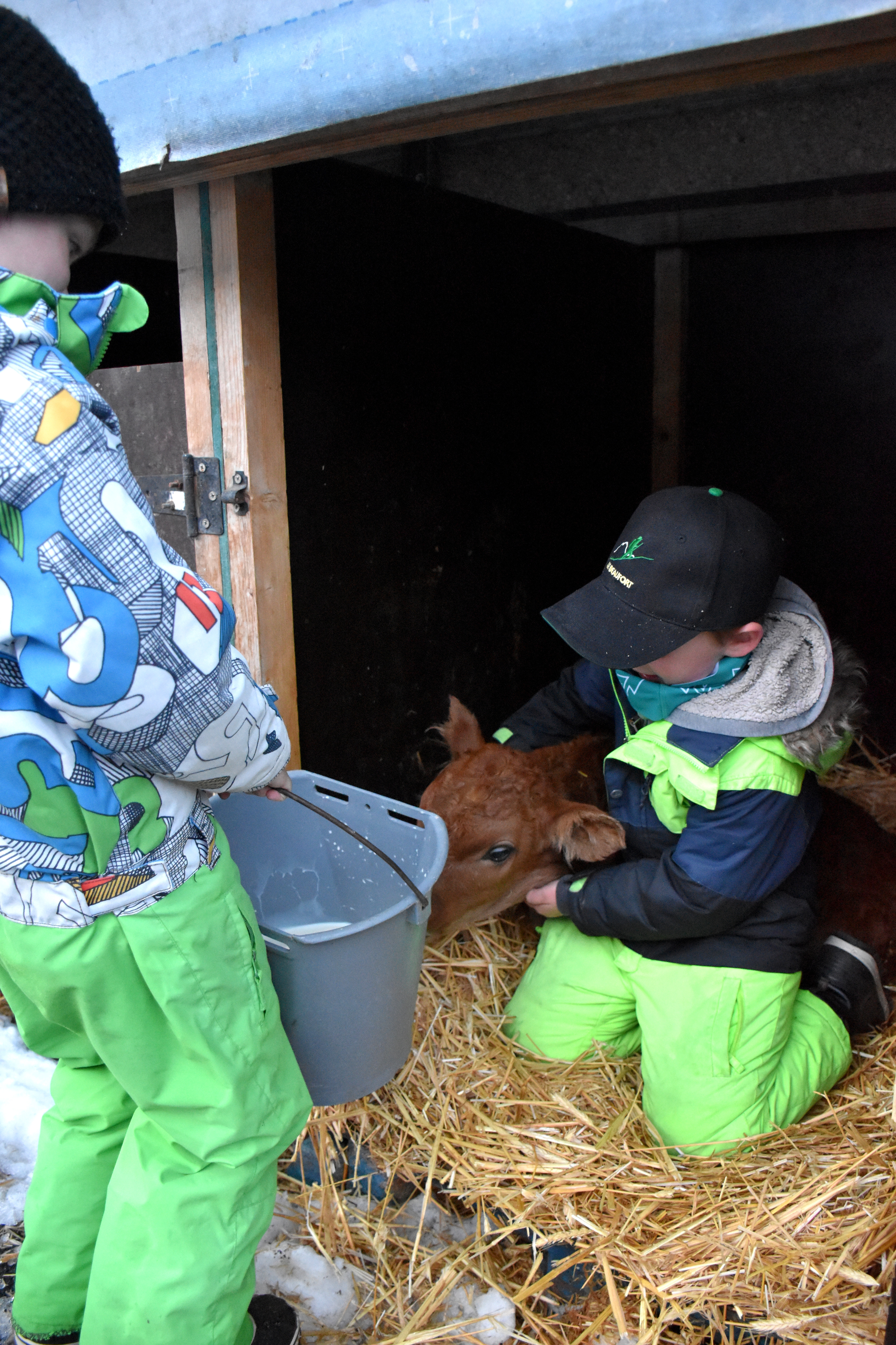Enfants Gaec Des Tarines Bourg St Maurice 21 Janvier 2021 5