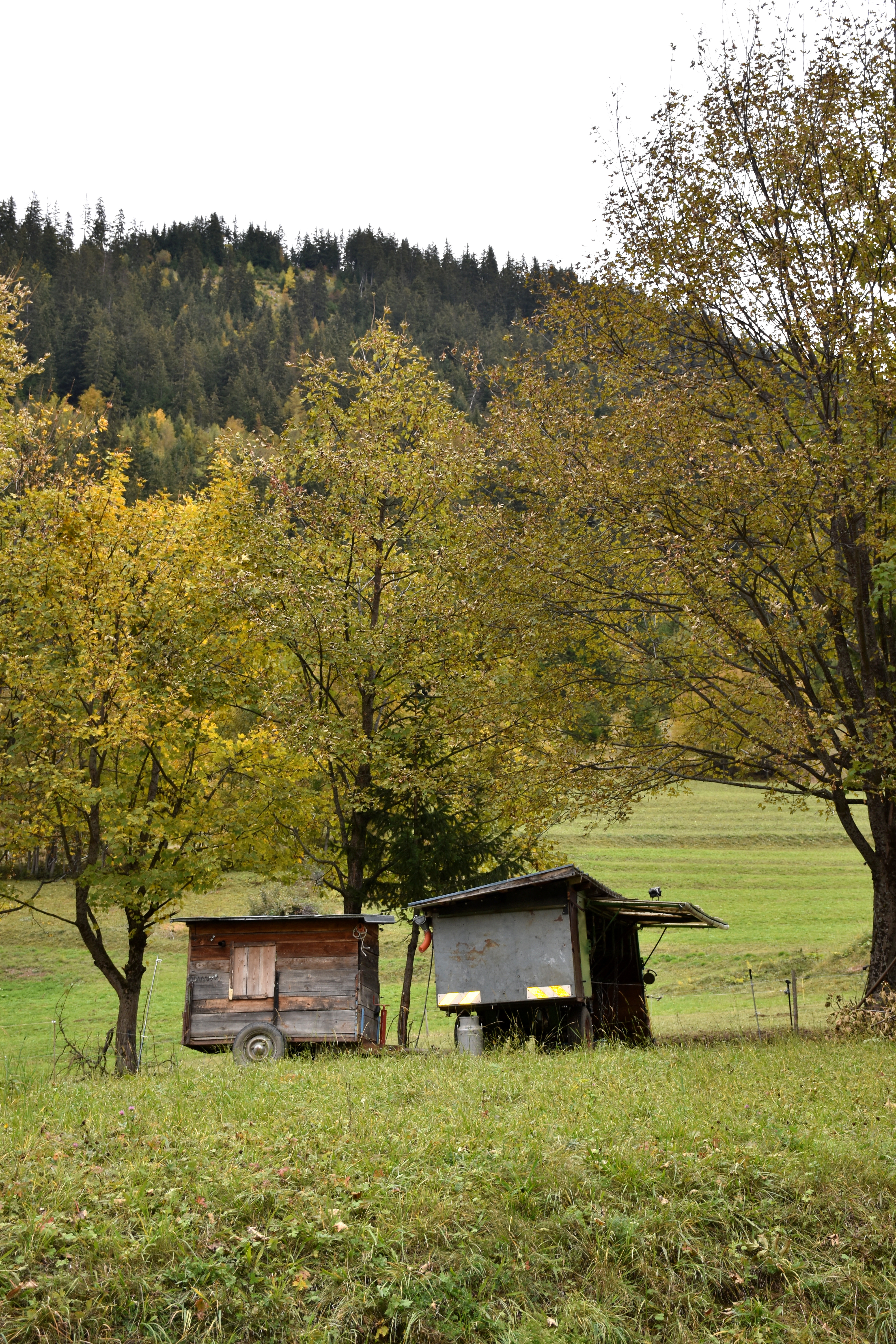 Dsc 0007 01