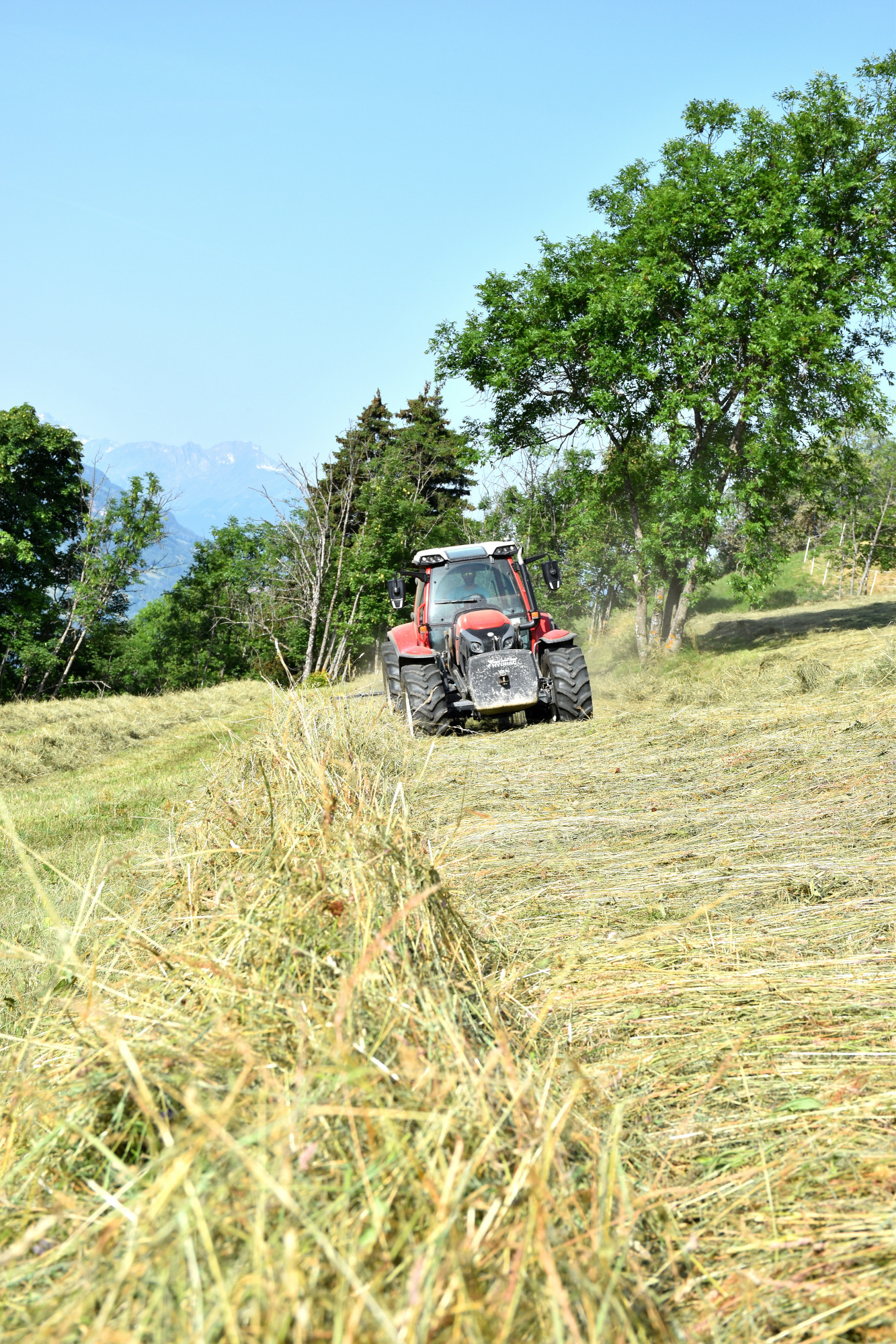 Landainage Le Travail Des Foins Fromage Beaufort 2 01
