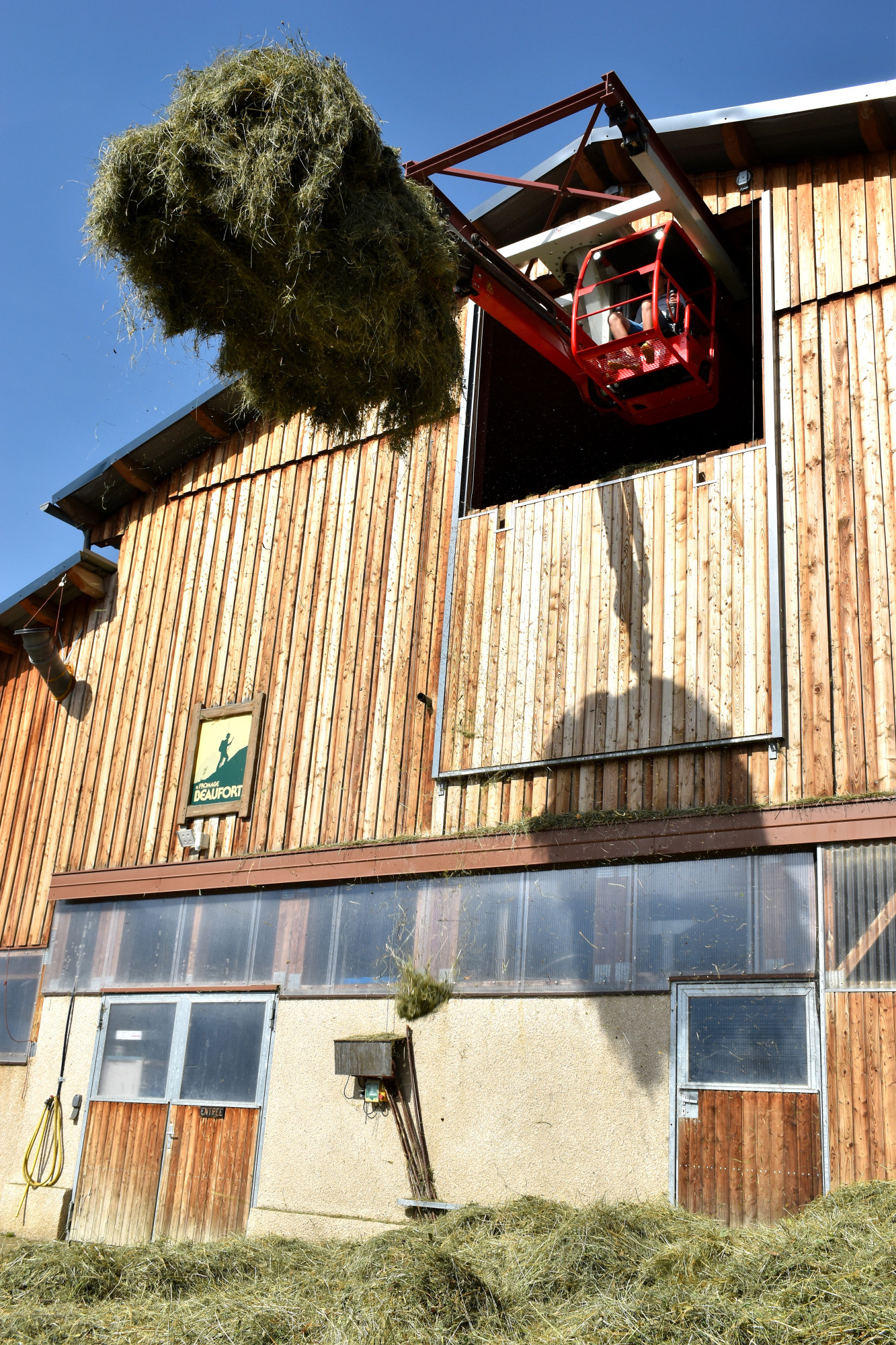 Le Dechargement Et Entree En Grange Le Travail Des Foins Fromage Beaufort 5 01