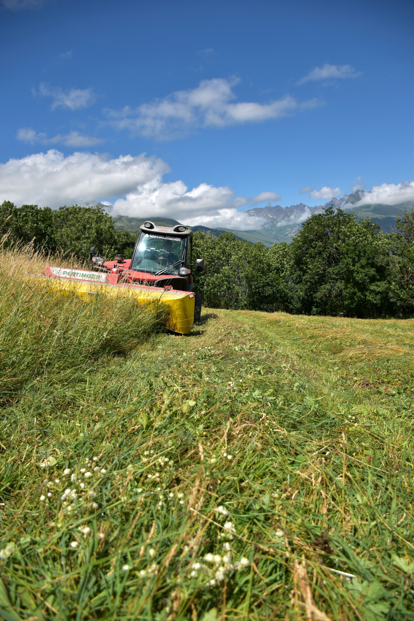 Le Fauchage Le Travail Des Foins Fromage Beaufort 8