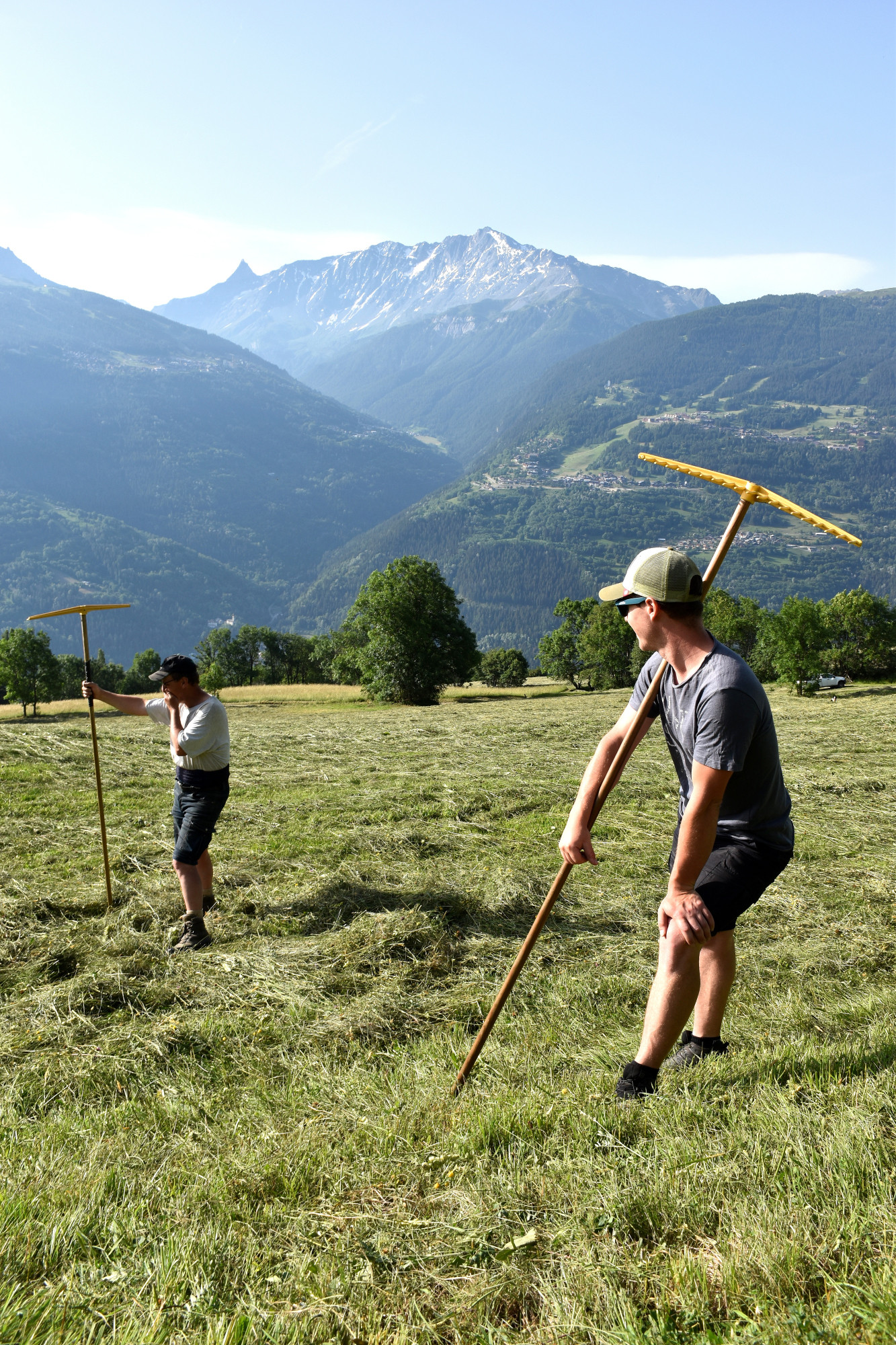 Le Rateau Le Travail Des Foins Fromage Beaufort 3 01