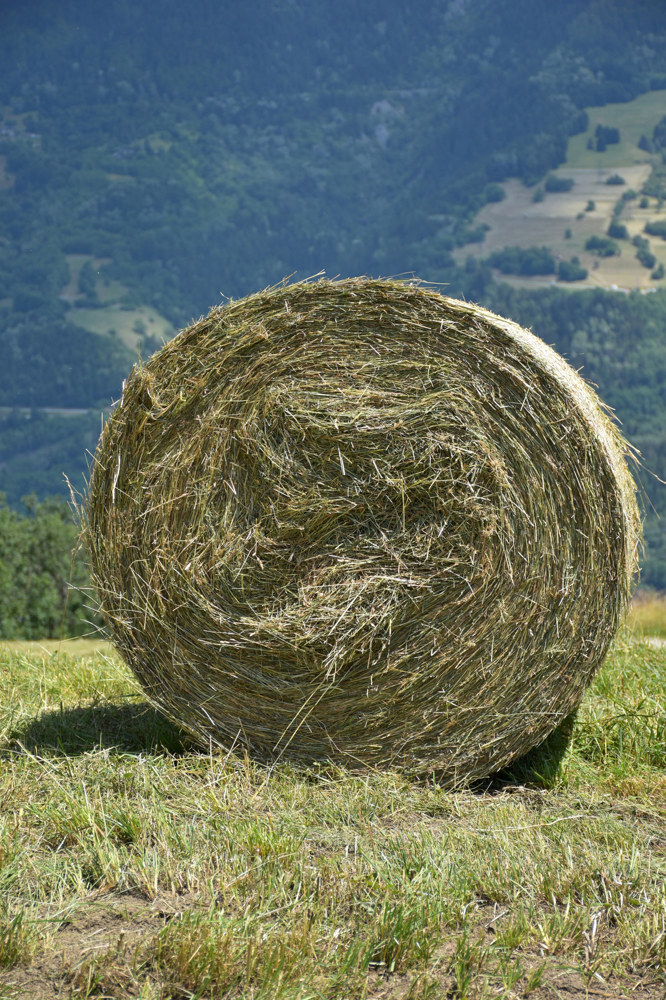 Les Balles Rondes Le Travail Des Foins Fromage Beaufort Aop 10 01