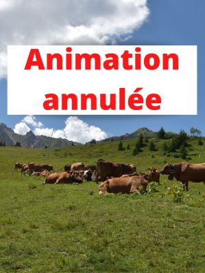 Animation Annulee
