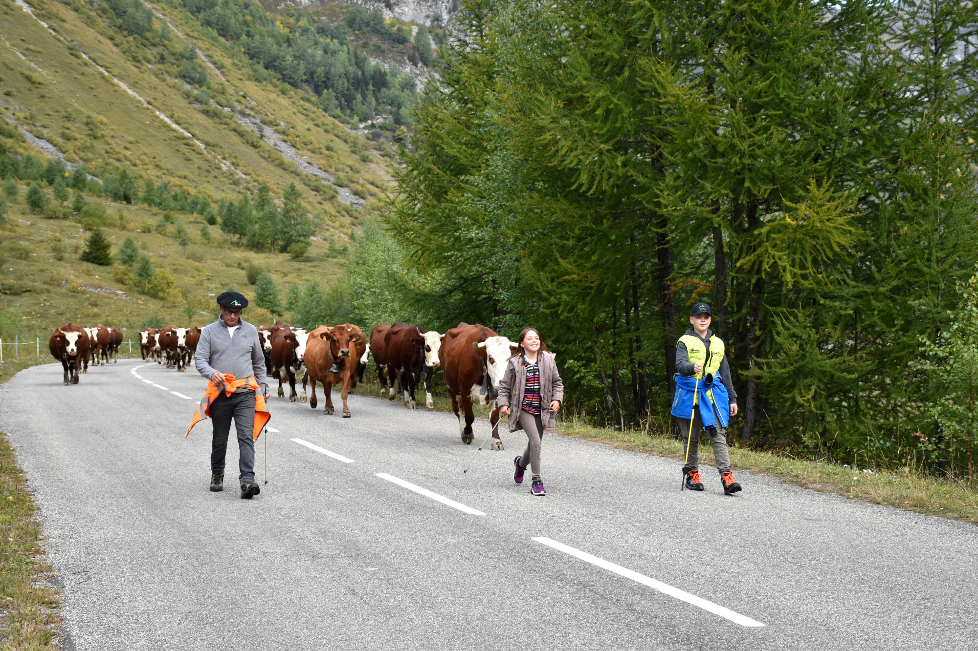 Demontagnee Gaec Les Croes Du Bachal 3 Octobre 2021 Fropmage Beaufort Aop 14