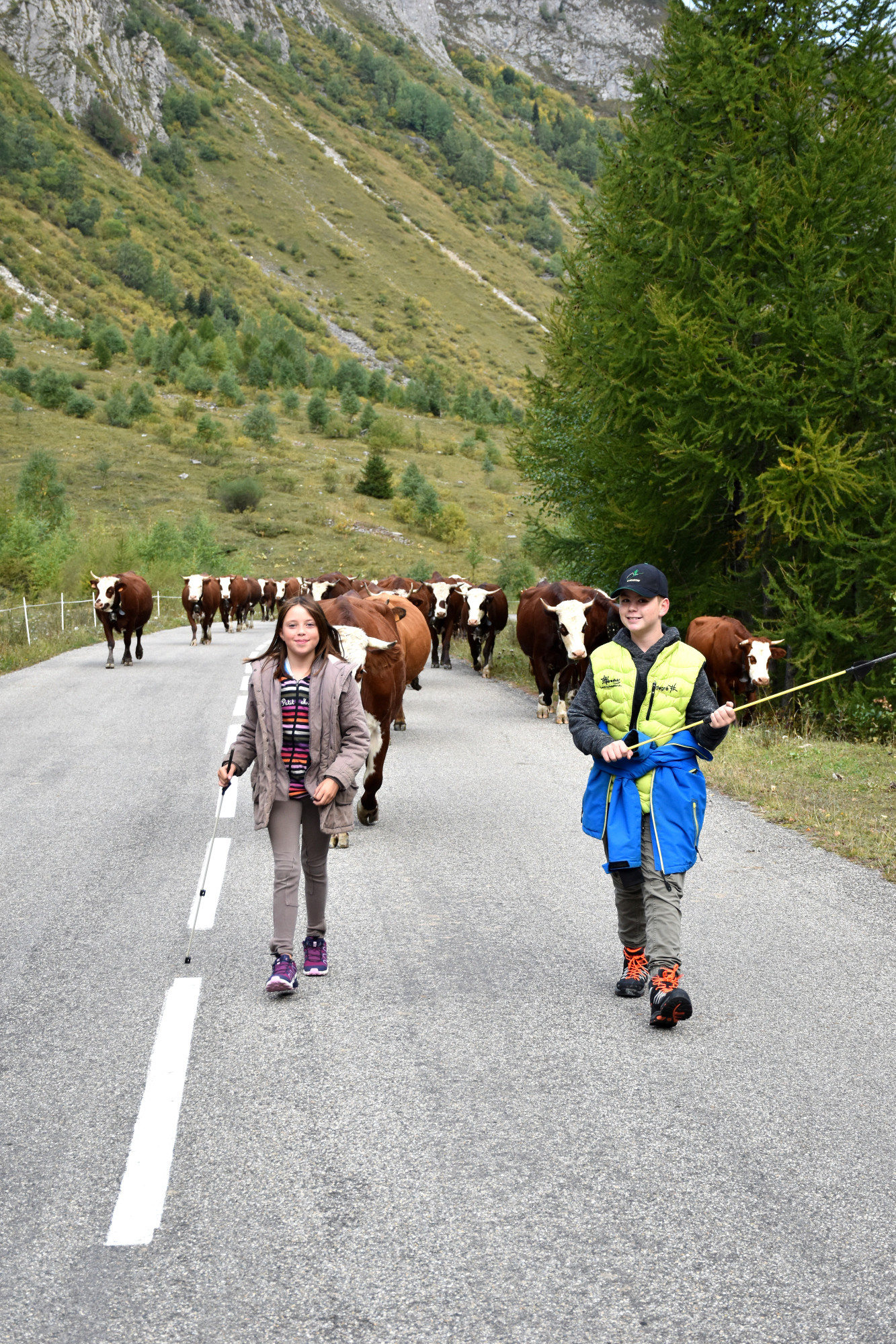 Demontagnee Gaec Les Croes Du Bachal 3 Octobre 2021 Fropmage Beaufort Aop 15
