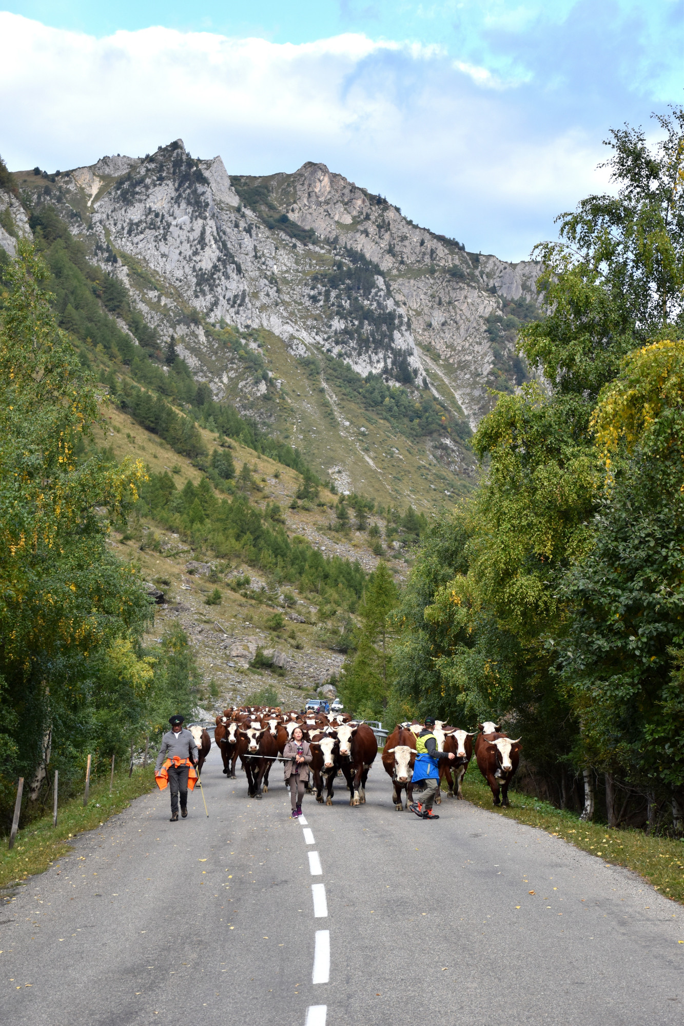 Demontagnee Gaec Les Croes Du Bachal 3 Octobre 2021 Fropmage Beaufort Aop 17