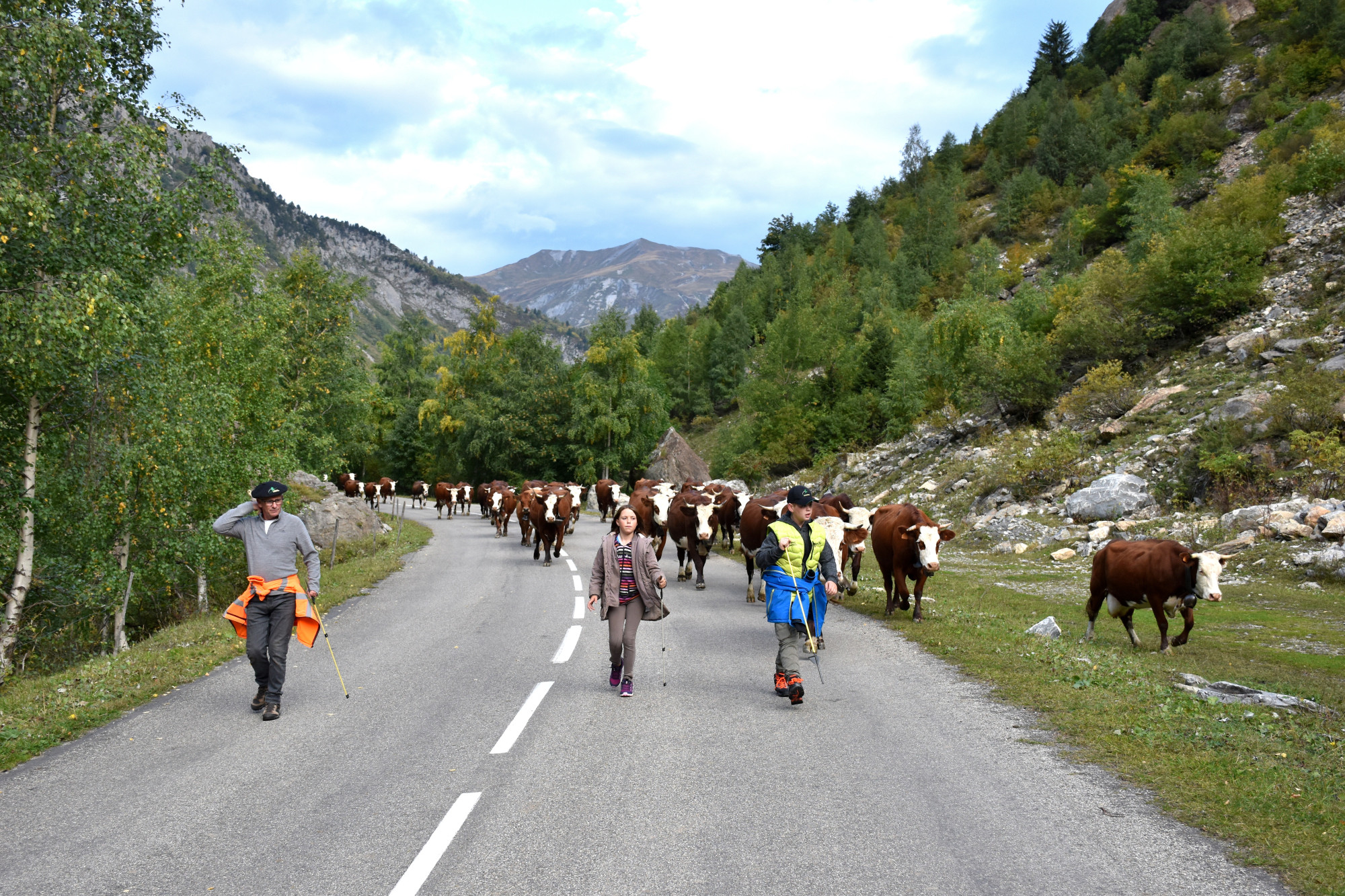 Demontagnee Gaec Les Croes Du Bachal 3 Octobre 2021 Fropmage Beaufort Aop 18