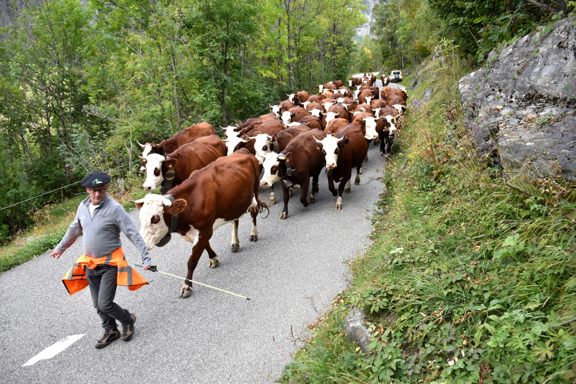 Demontagnee Gaec Les Croes Du Bachal 3 Octobre 2021 Fropmage Beaufort Aop 20