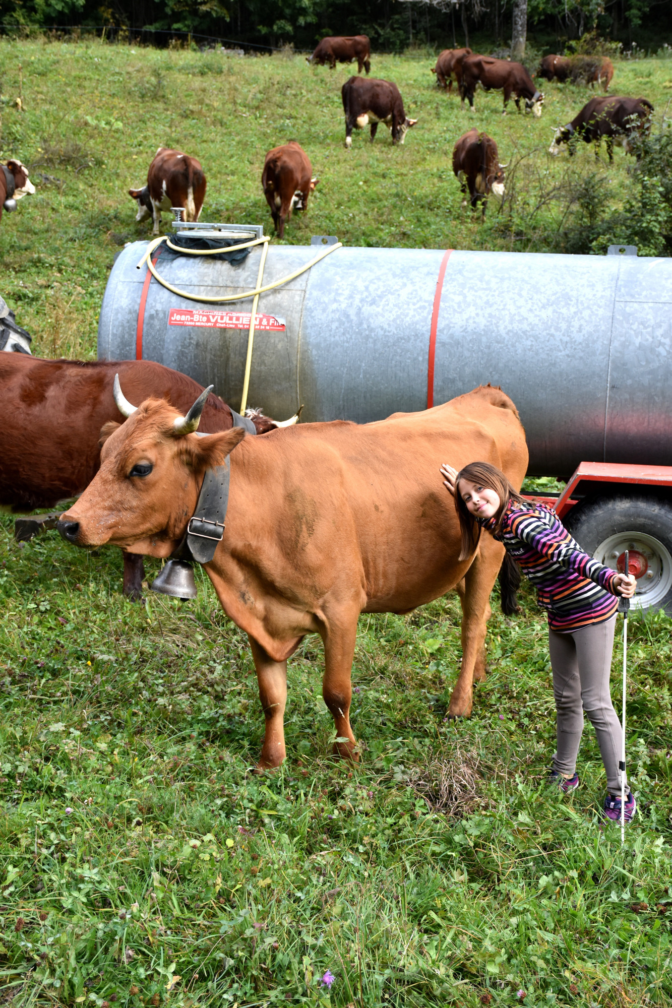 Demontagnee Gaec Les Croes Du Bachal 3 Octobre 2021 Fropmage Beaufort Aop 29