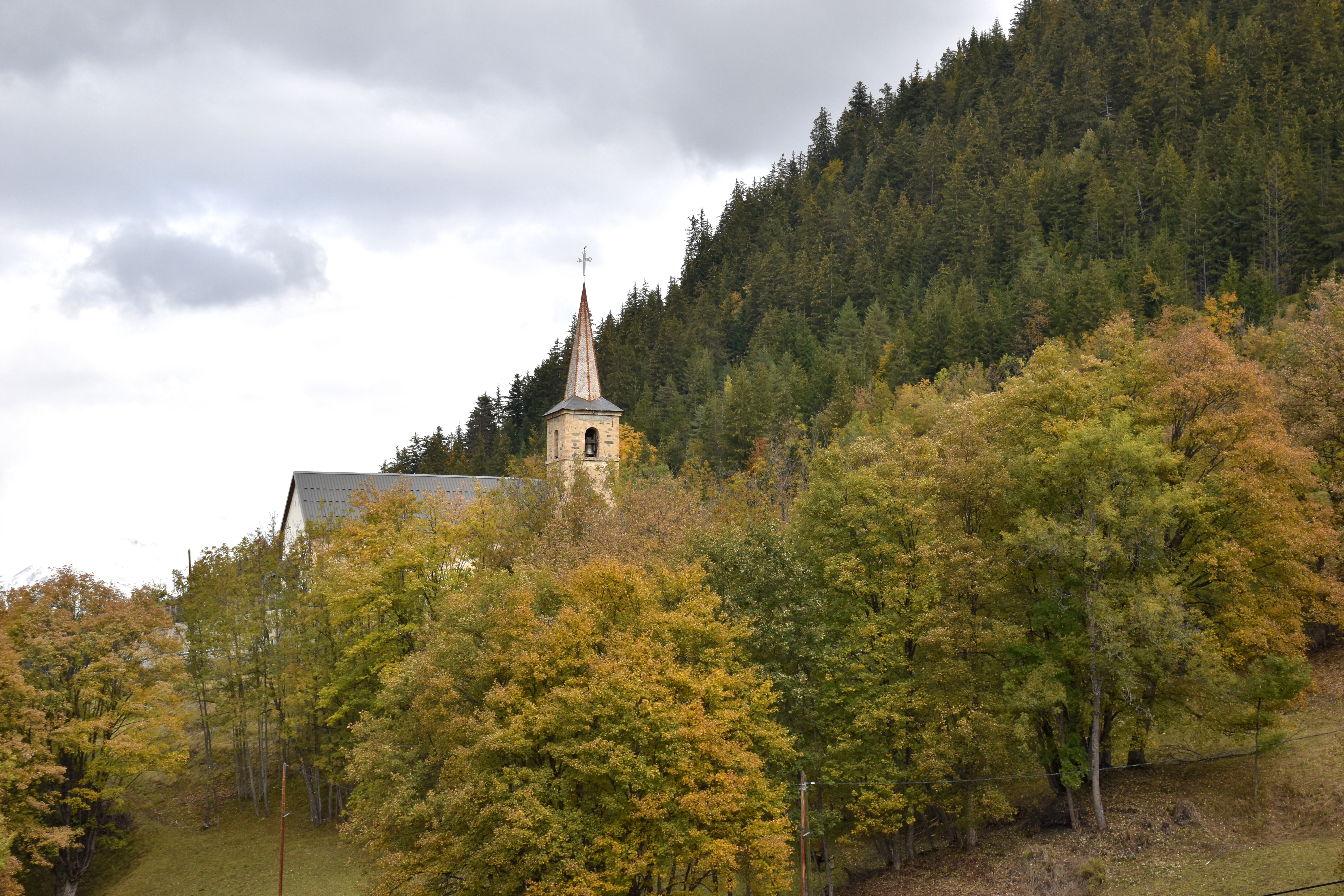 Dsc 0044 01