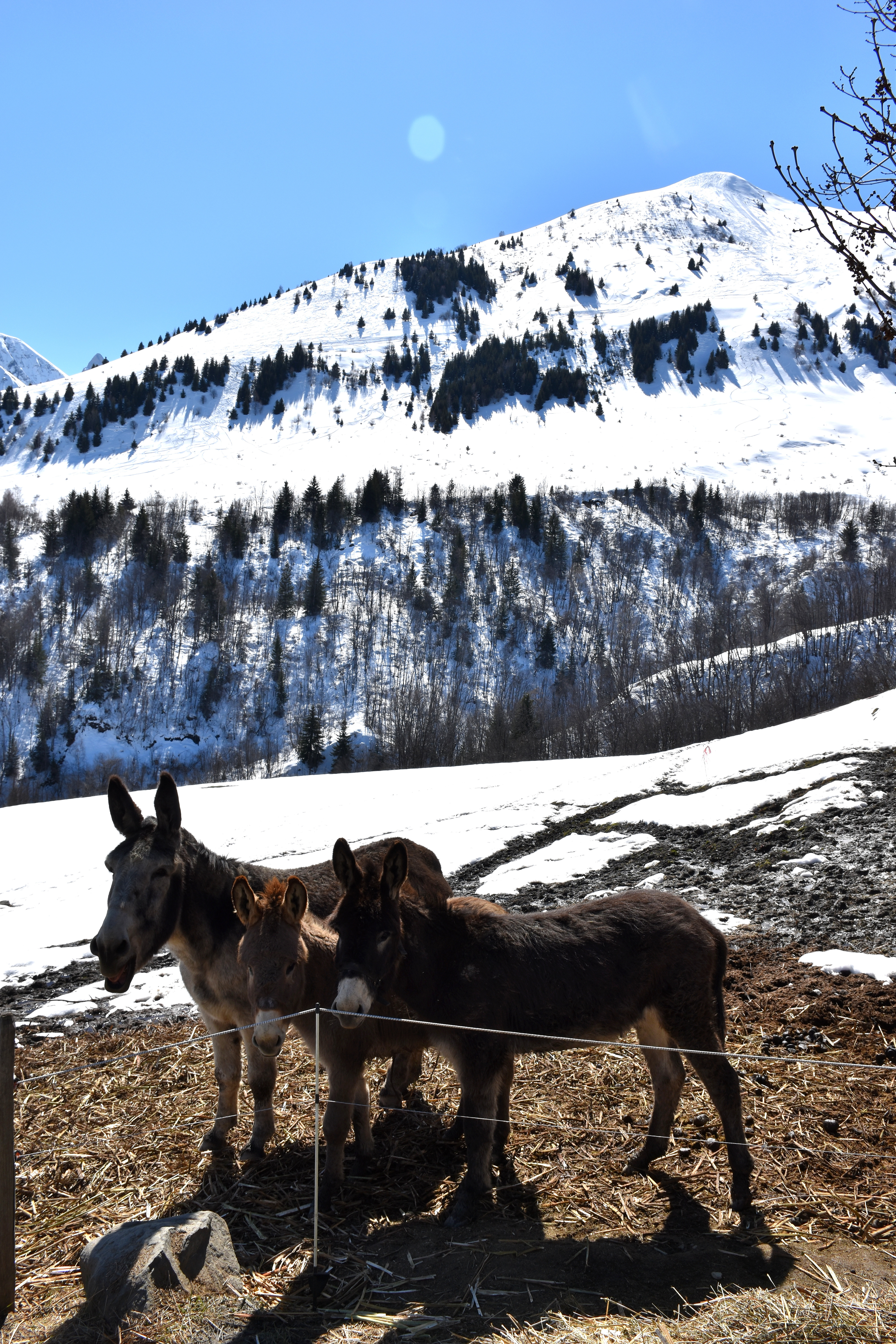 24032021 Patrick Sibue St Jean Darves Maurienne 84