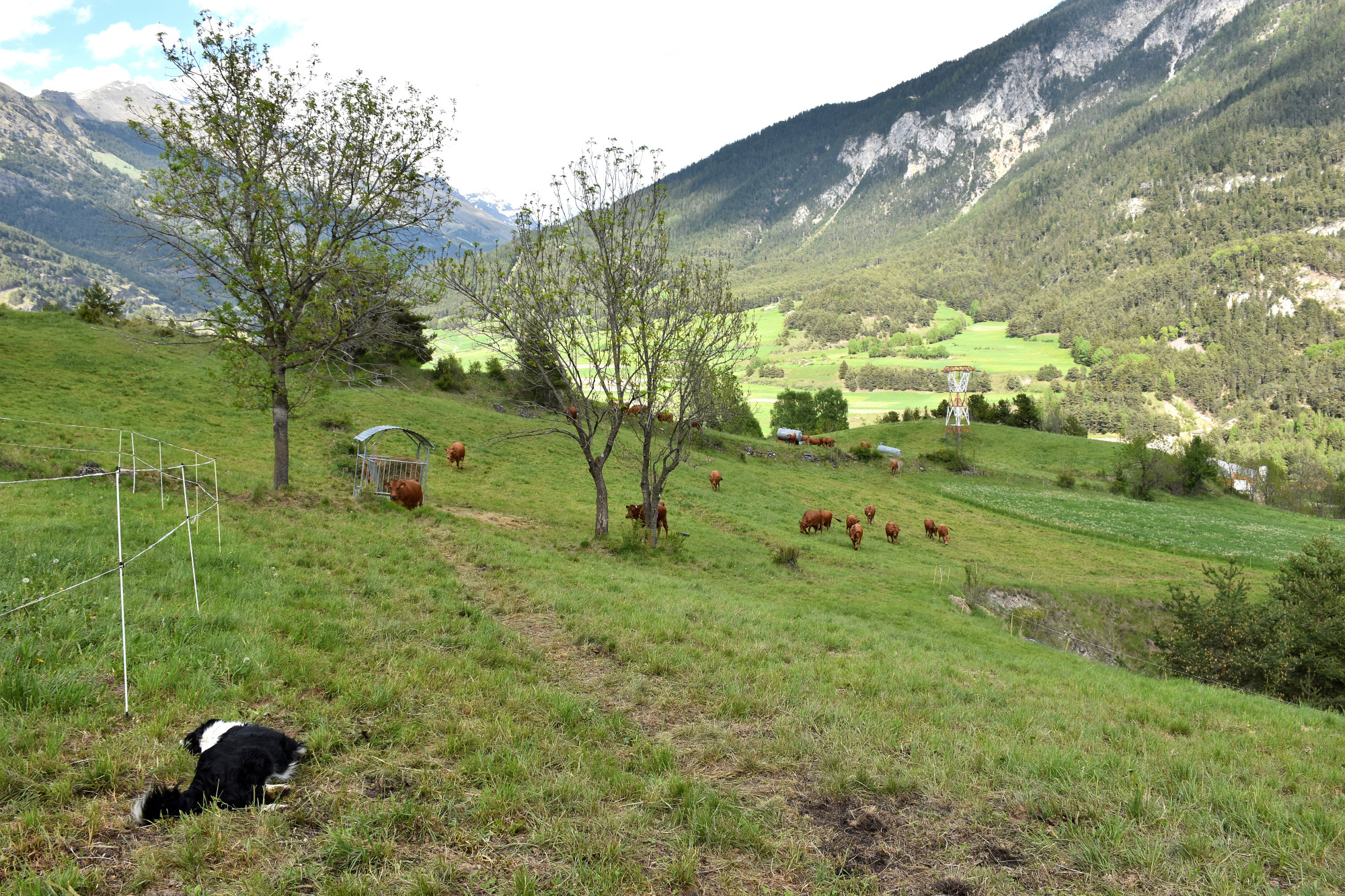 Rencontre Claude Favre Sollieres Sardieres 19052022 Fromage Beaufort 12