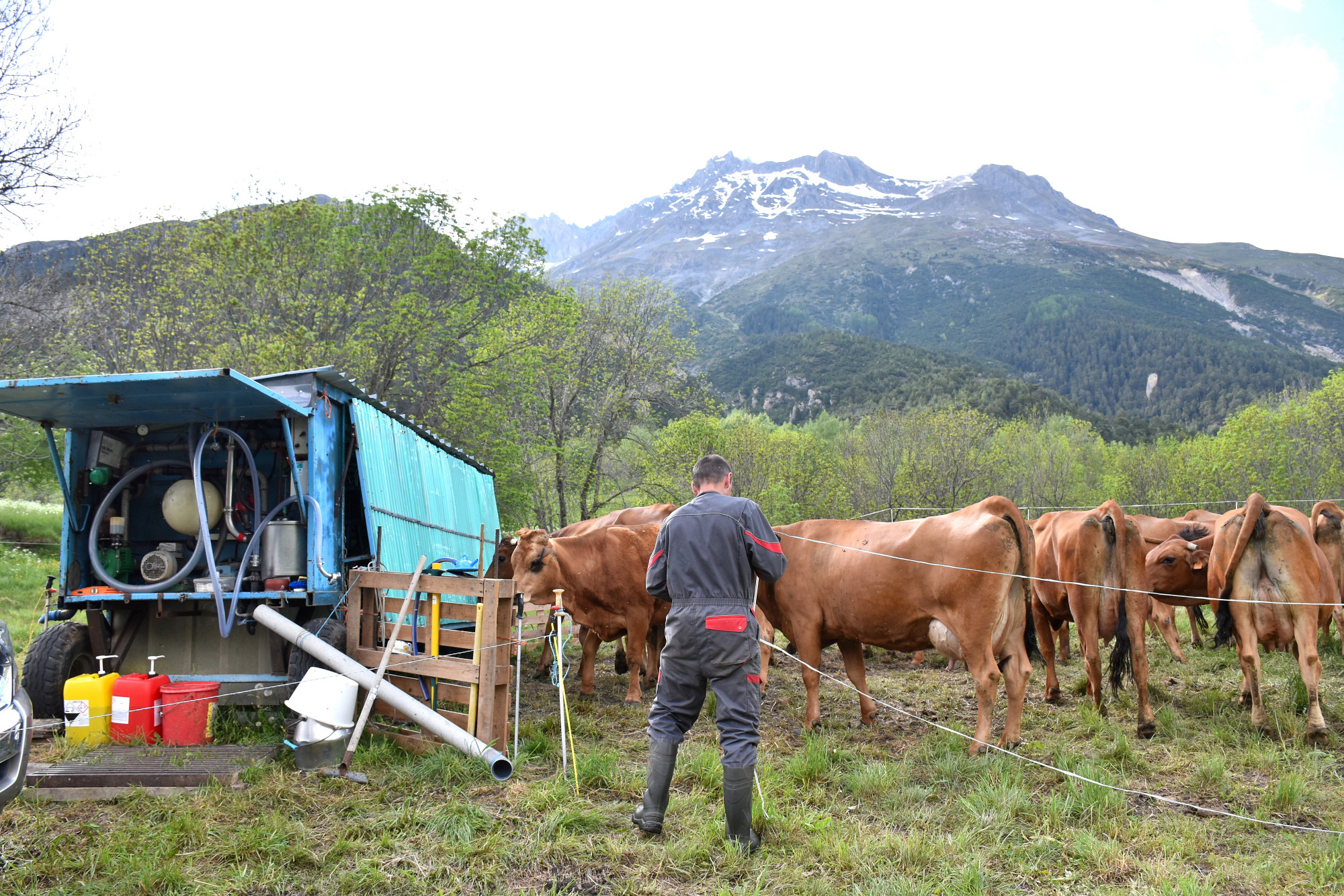 Rencontre Claude Favre Sollieres Sardieres 19052022 Fromage Beaufort 13