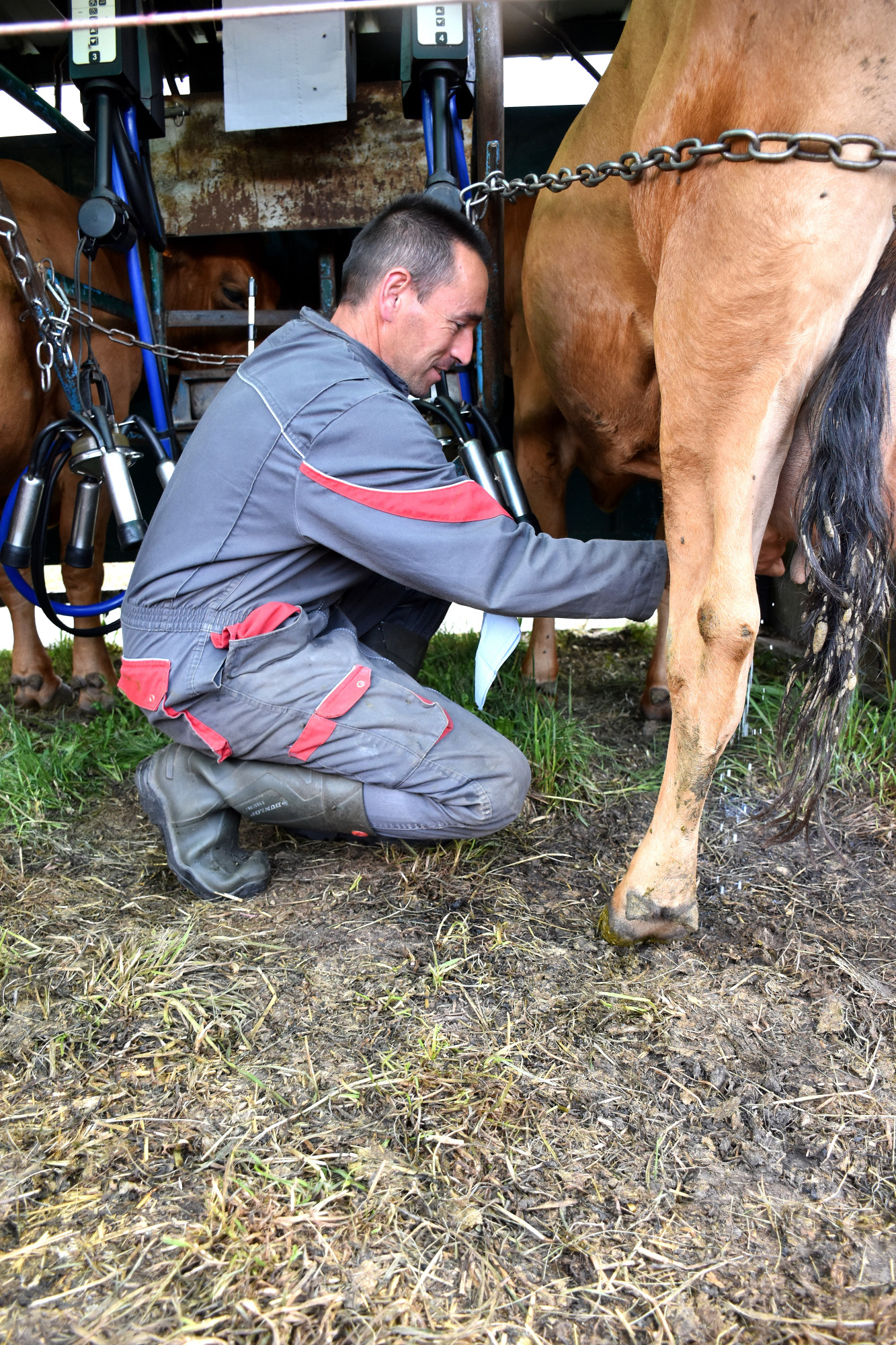 Rencontre Claude Favre Sollieres Sardieres 19052022 Fromage Beaufort 15