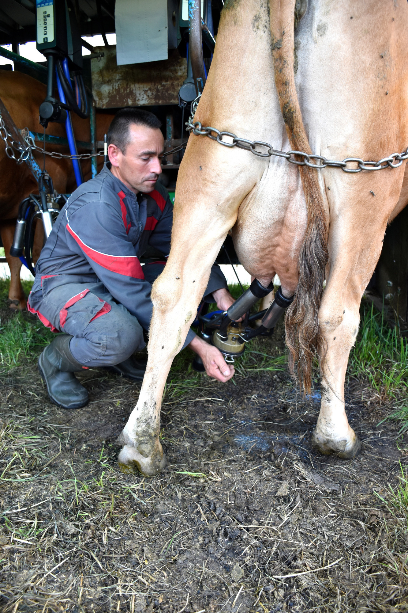 Rencontre Claude Favre Sollieres Sardieres 19052022 Fromage Beaufort 19