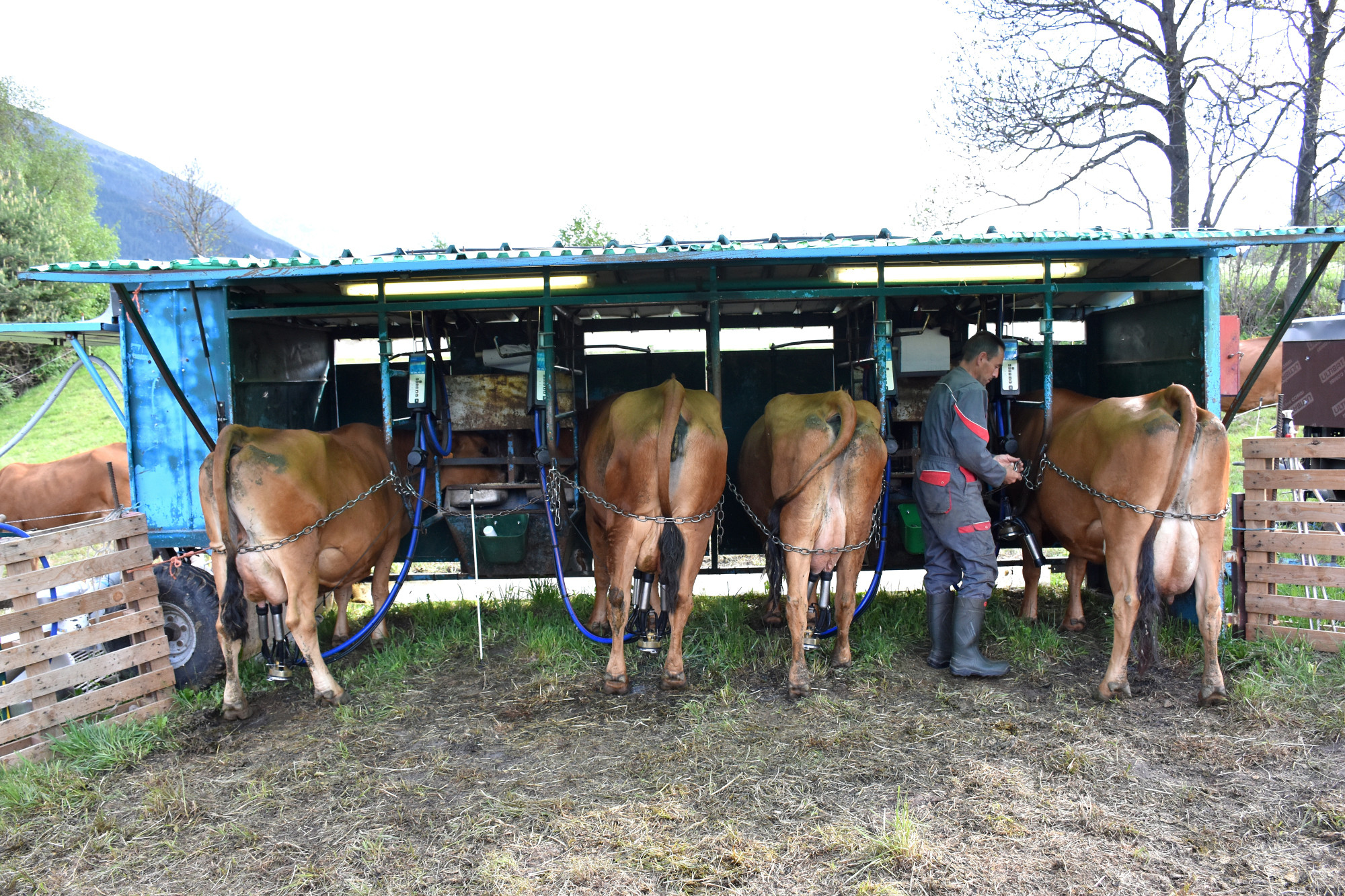 Rencontre Claude Favre Sollieres Sardieres 19052022 Fromage Beaufort 22