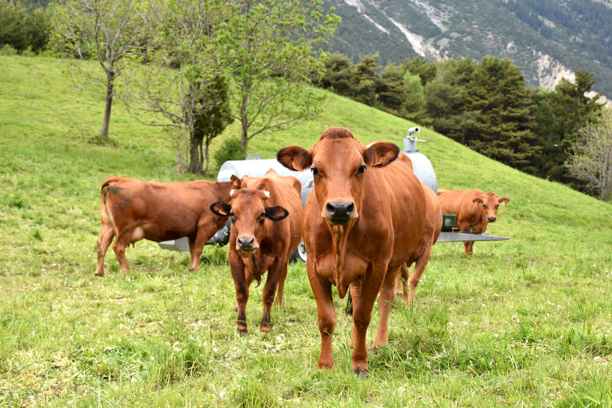 Rencontre Claude Favre Sollieres Sardieres 19052022 Fromage Beaufort 4