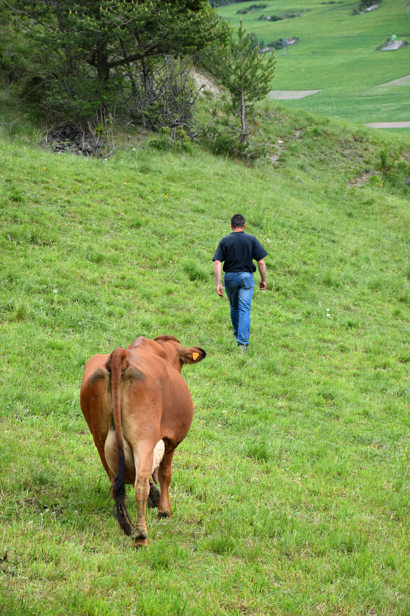 Rencontre Claude Favre Sollieres Sardieres 19052022 Fromage Beaufort 9