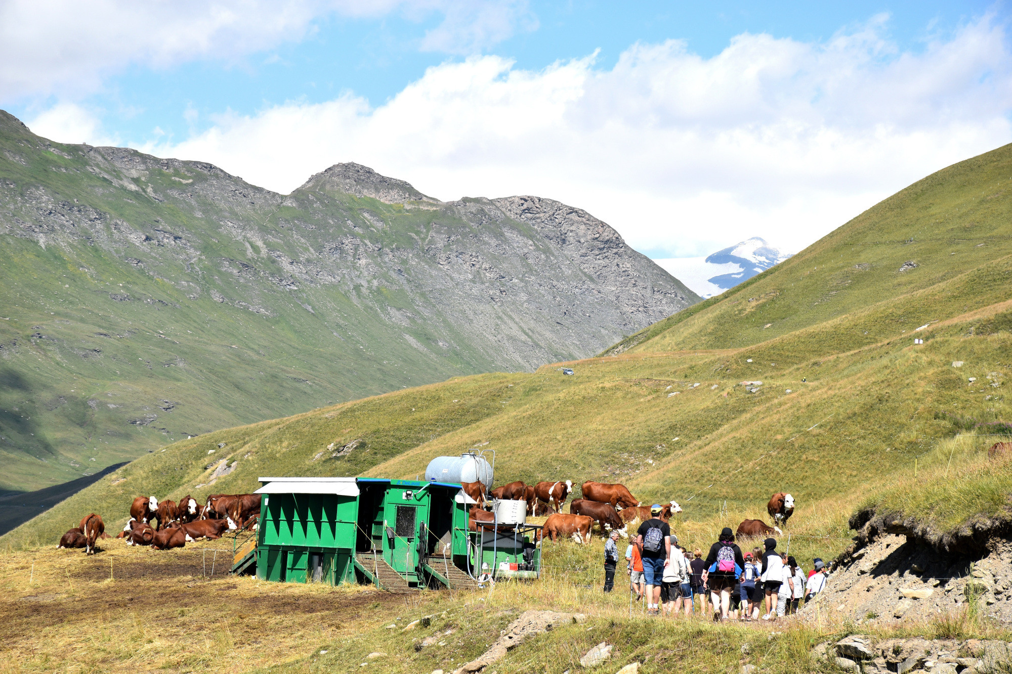 Instants Beaufort 2021 Alpage Du Toet Maurienne Mardi 10 Aout 13