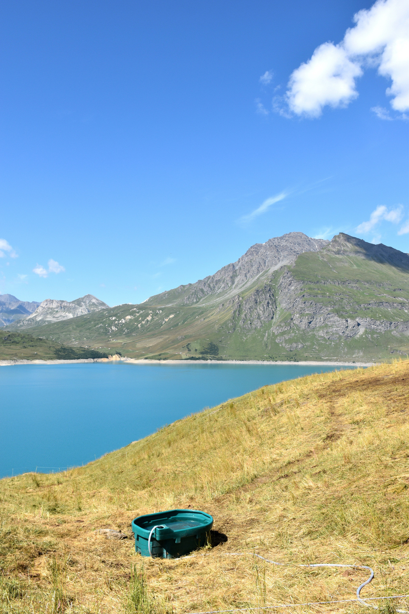 Instants Beaufort 2021 Alpage Du Toet Maurienne Mardi 10 Aout 14