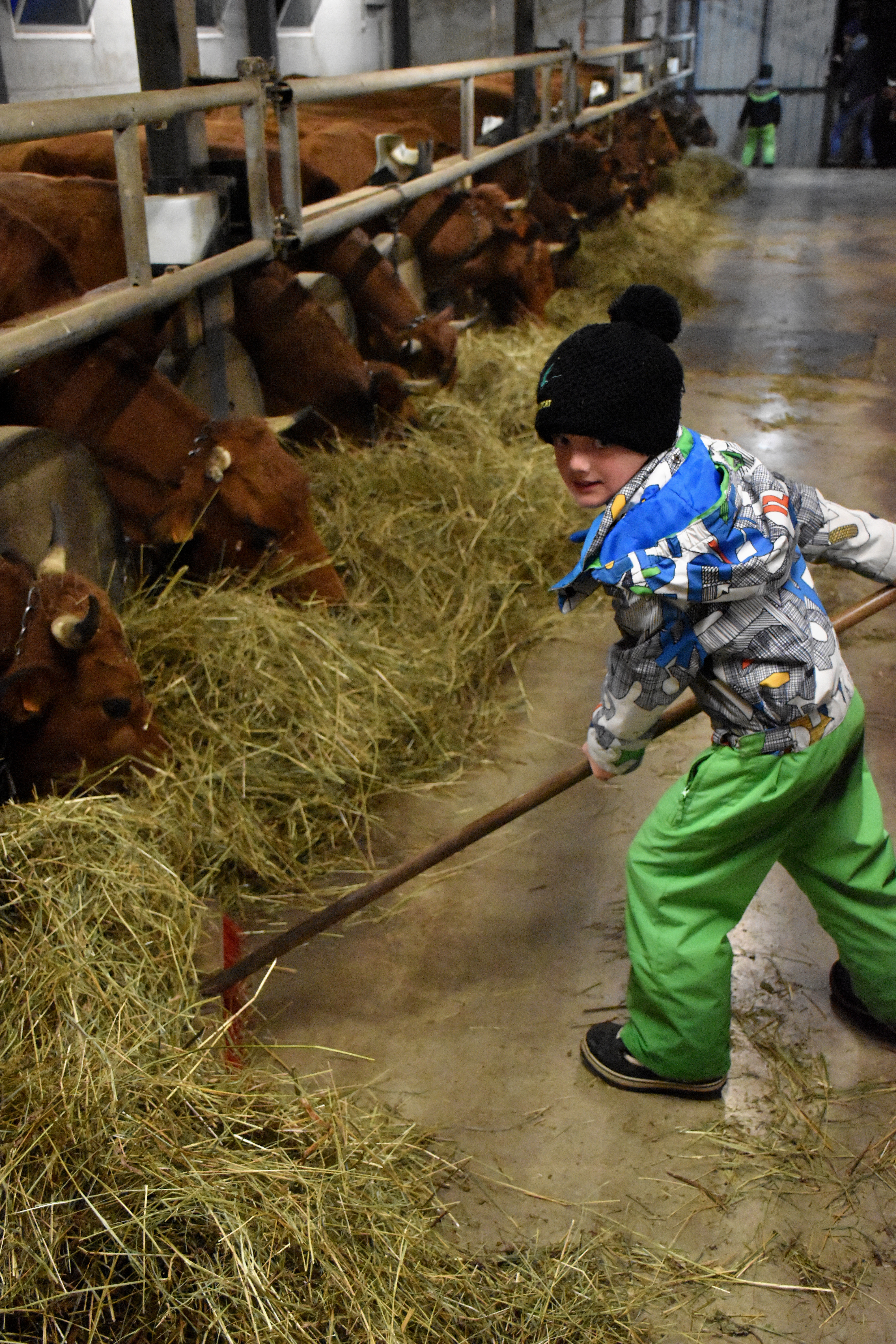 Enfants Gaec Des Tarines Bourg St Maurice 21 Janvier 2021 14
