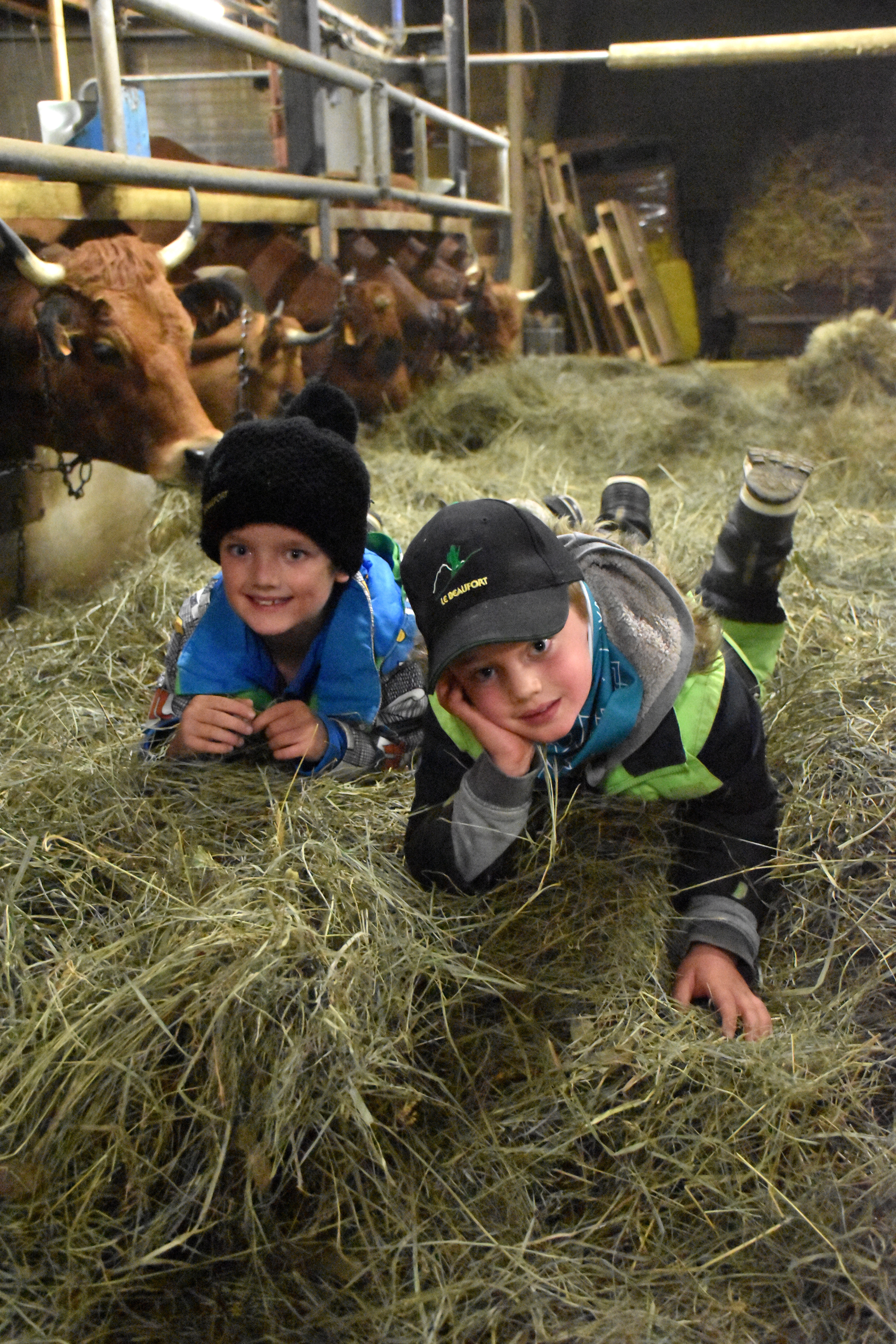 Enfants Gaec Des Tarines Bourg St Maurice 21 Janvier 2021 22