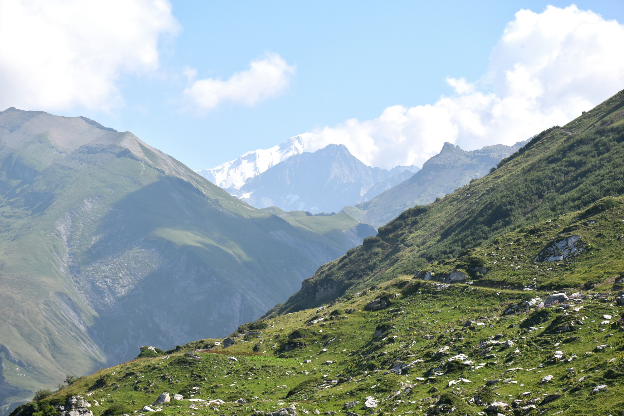 Instant Beaufort Ete 2021 Alpage Les Moillettes Beaufortain 19 Aout 2021 8