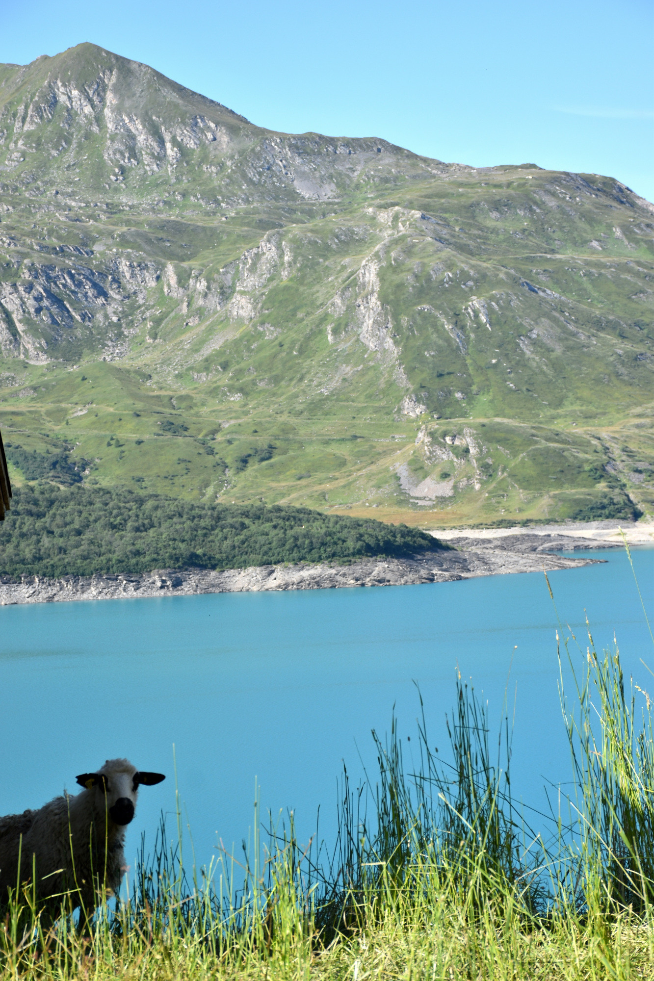 Instants Beaufort 2021 Alpage Du Toet Maurienne Mardi 10 Aout 1