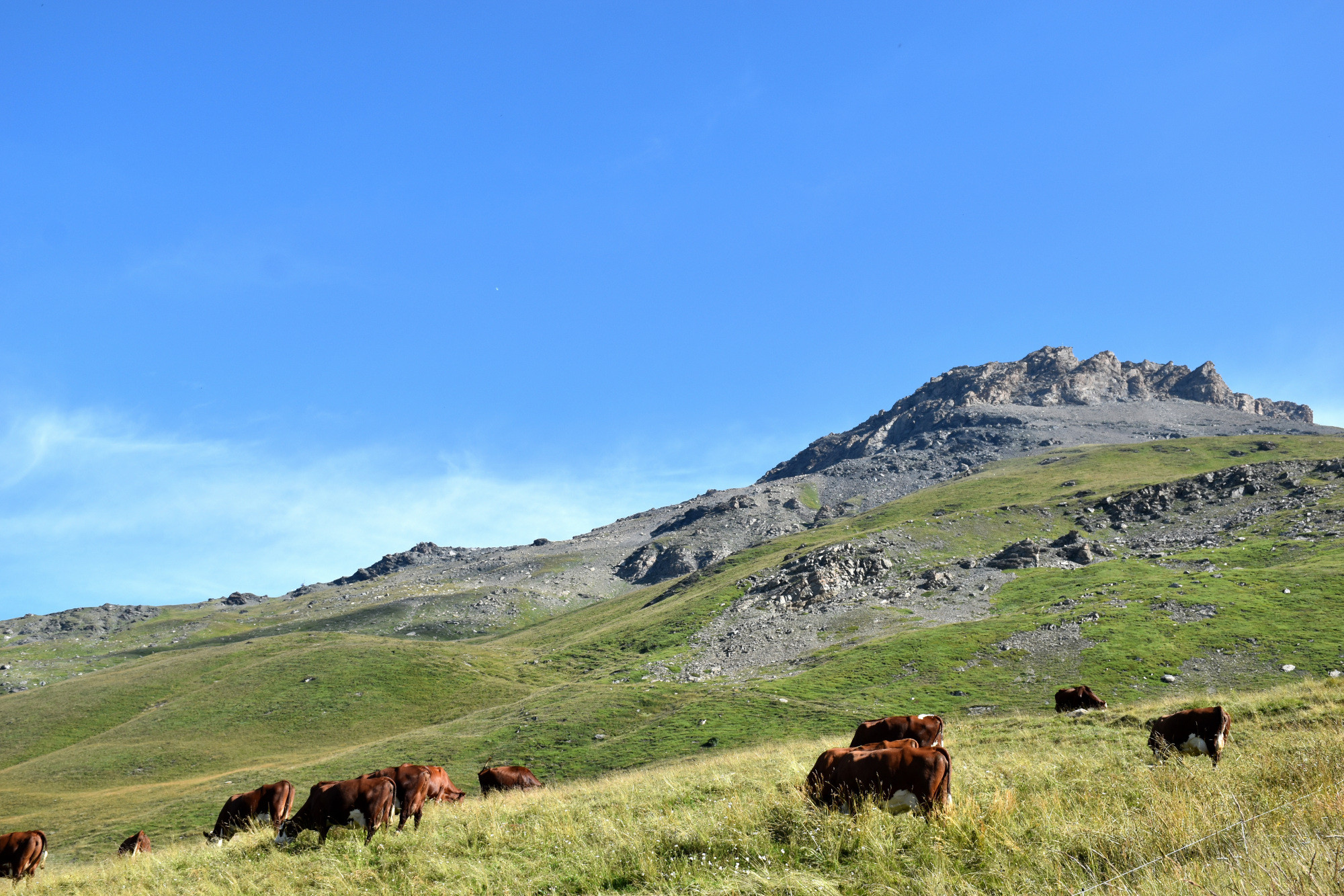 Instants Beaufort 2021 Alpage Du Toet Maurienne Mardi 10 Aout 6