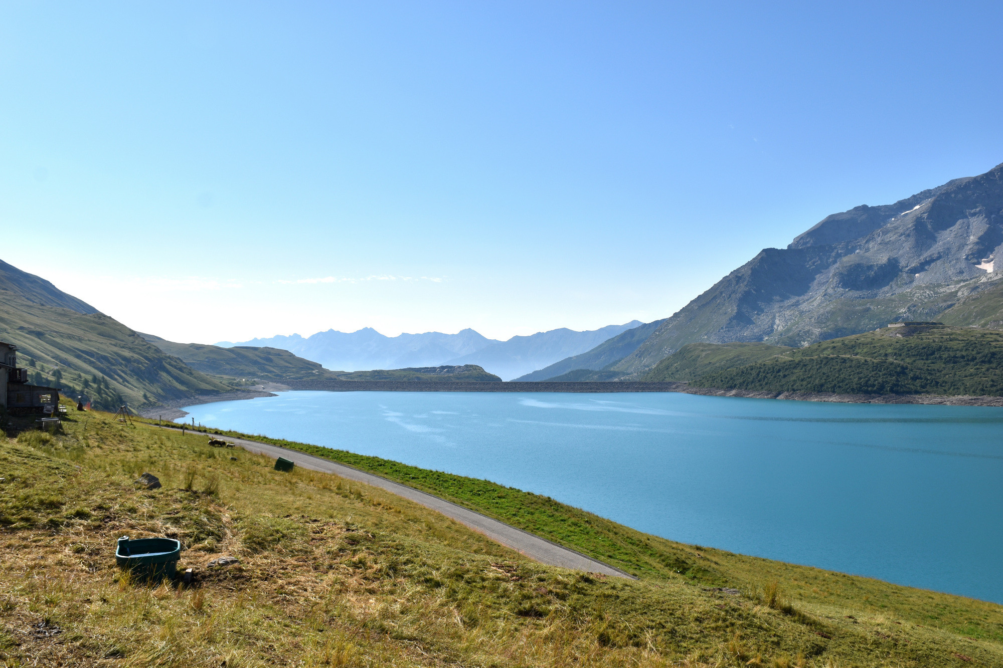 Instants Beaufort 2021 Alpage Du Toet Maurienne Mardi 10 Aout 7