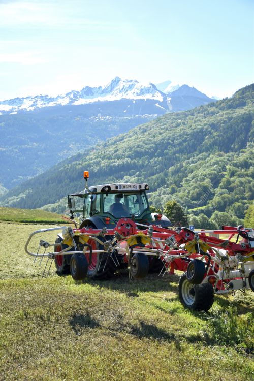 Les Foins Gaec Alpin Fromage Beaufort Aop Savoie 15